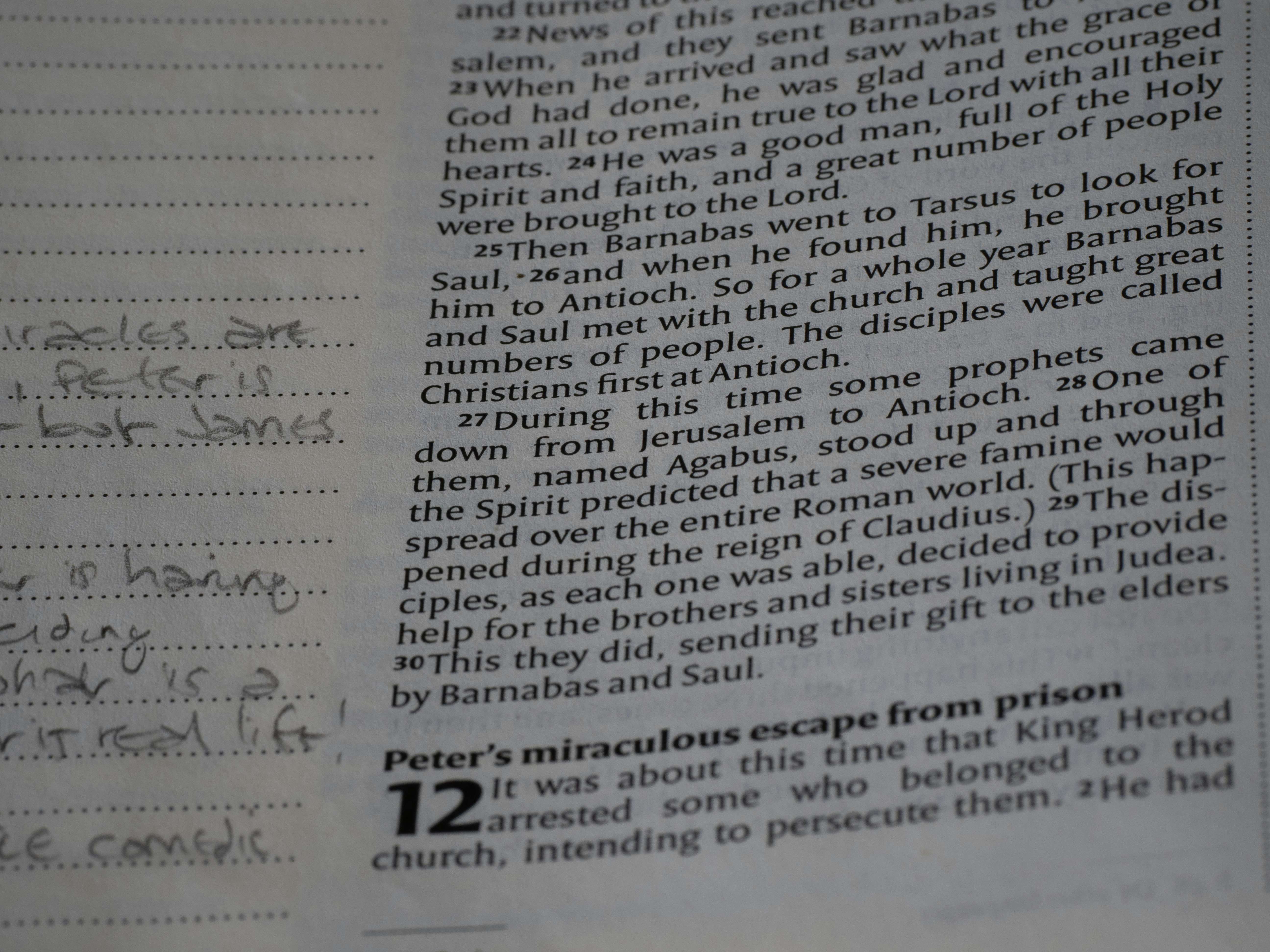 무릎 관절 연골 건강에 좋은 영양제