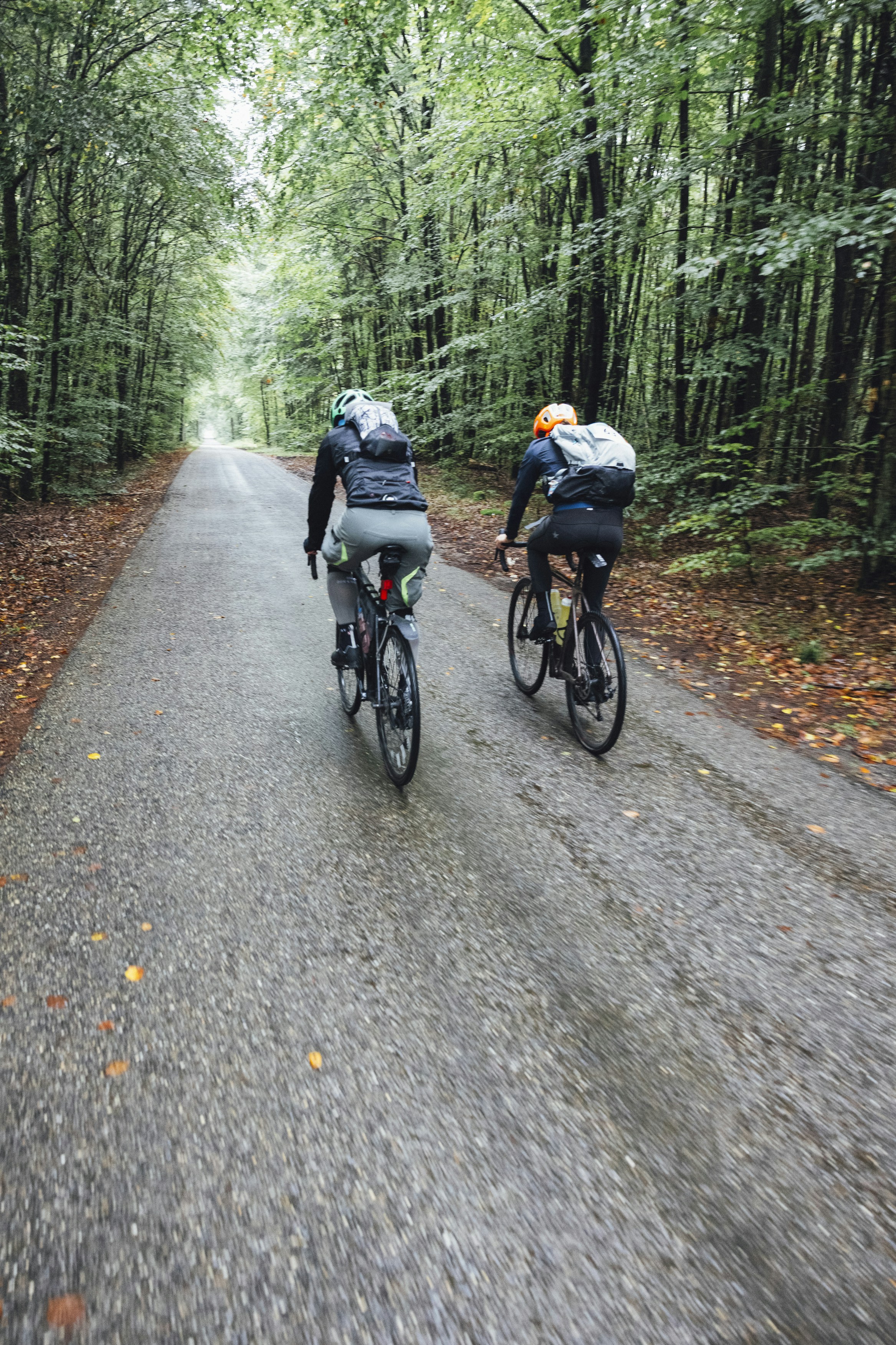 Two bicyclists riding down a road in the woods