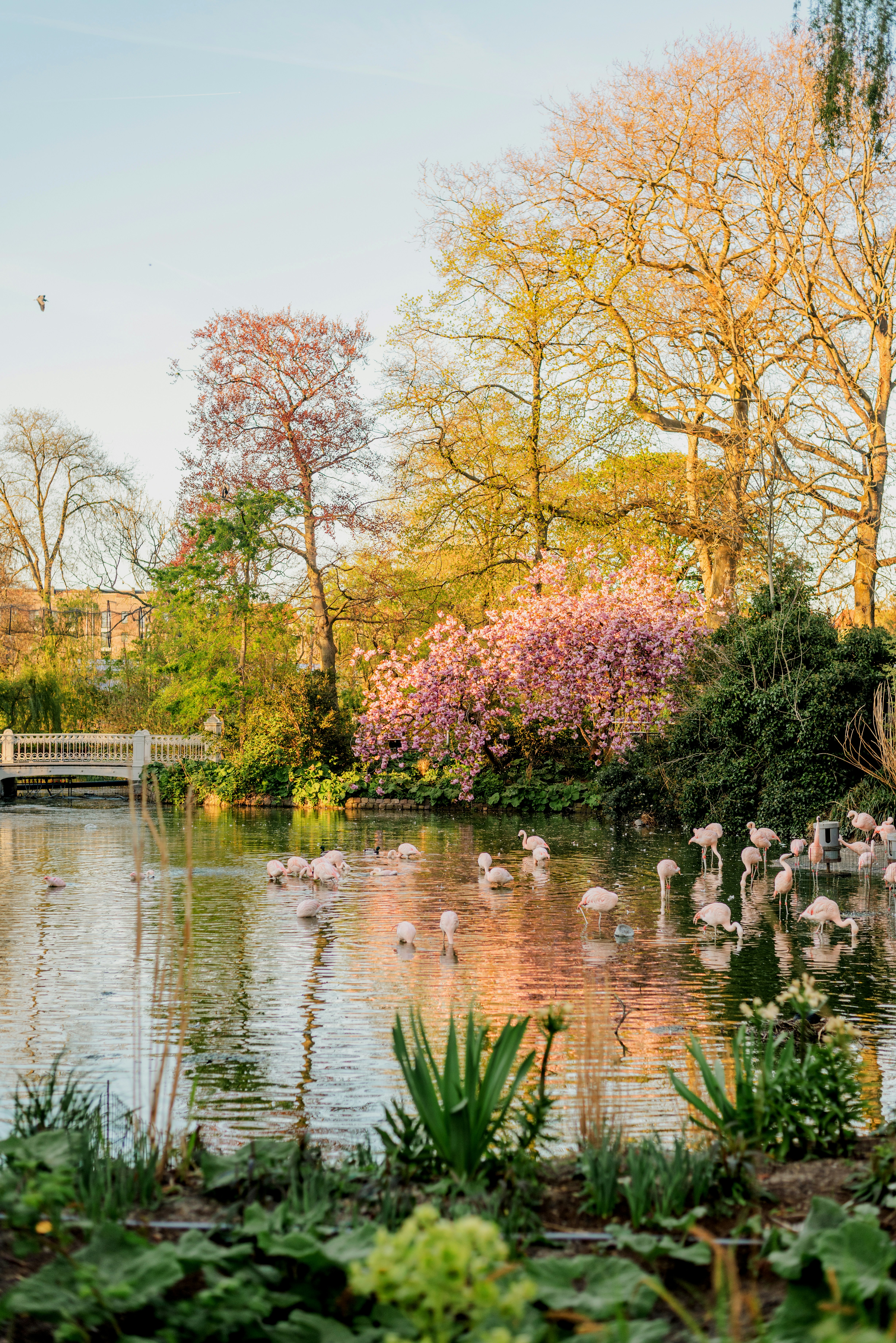 Photo by eugenivy_now