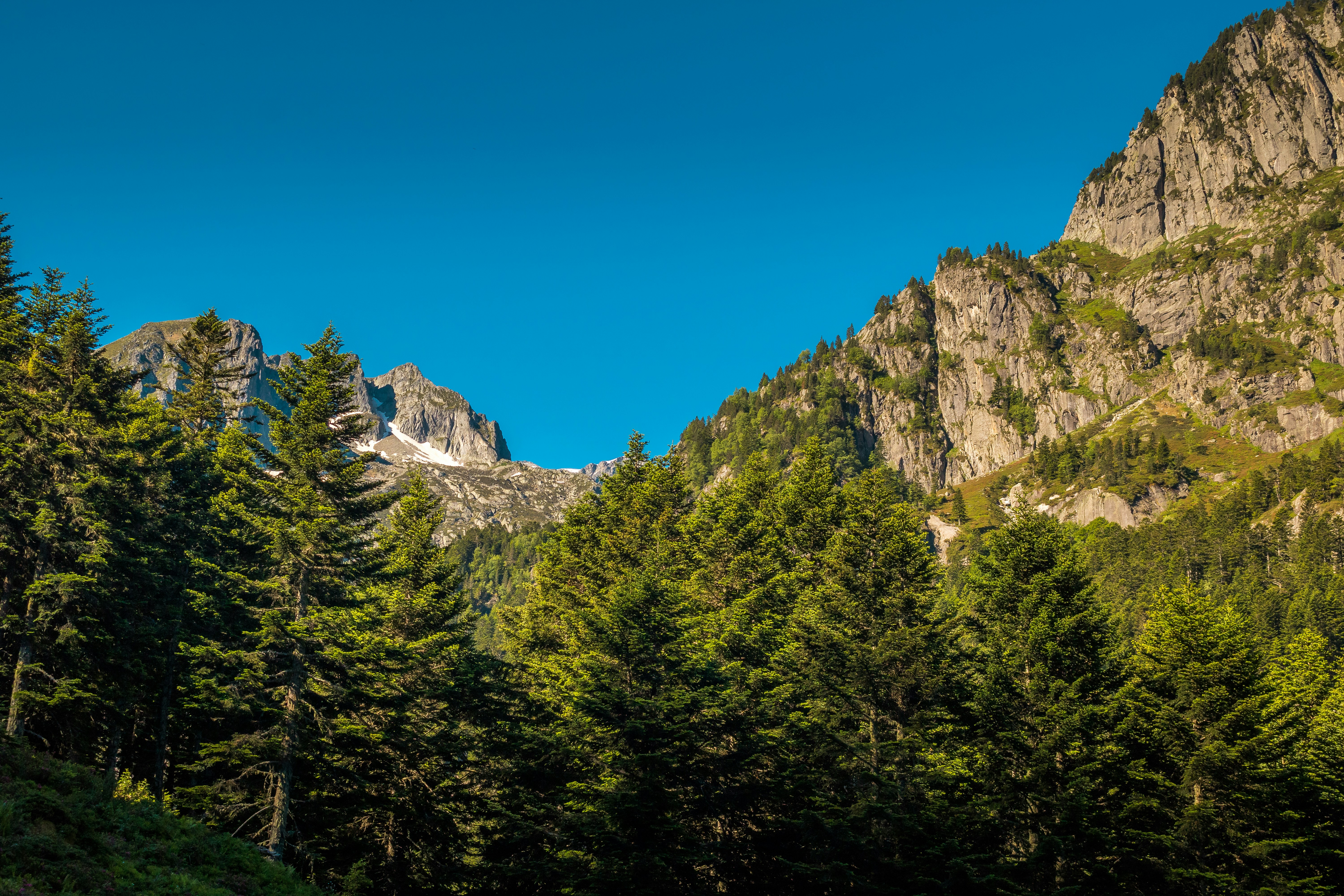 Photo by gaetanthurin