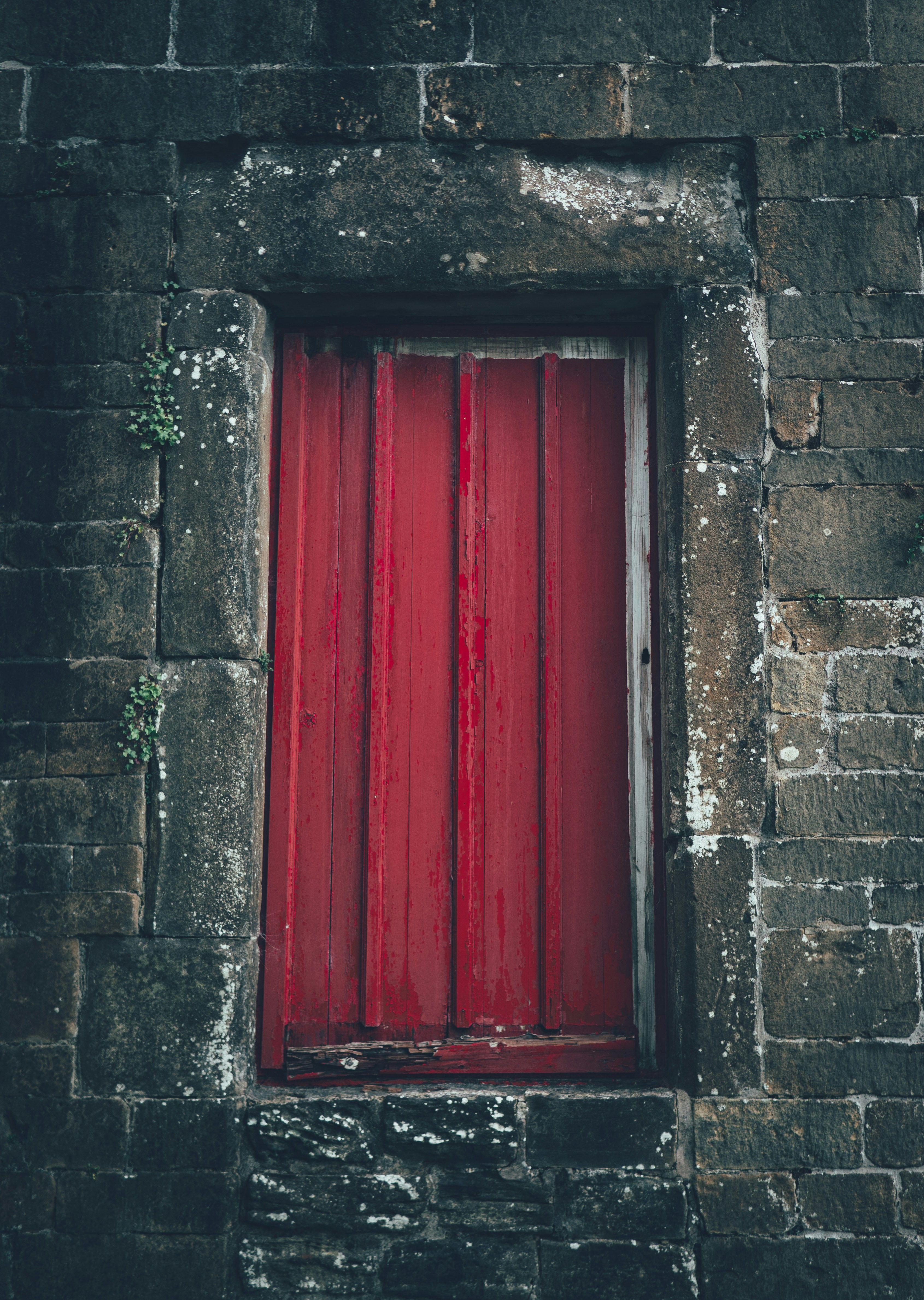 Photo by gregwillson