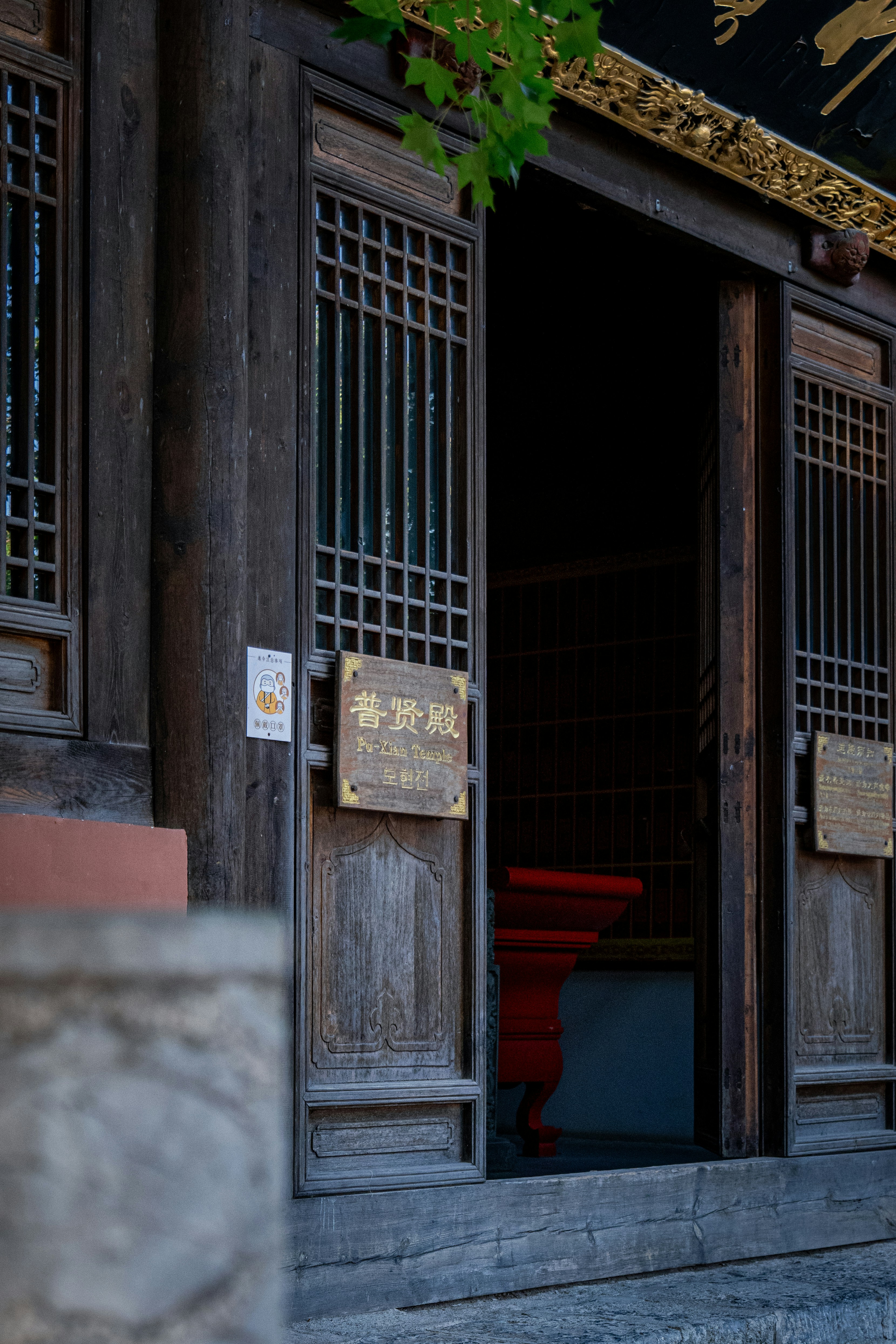 Photo by aasing_gwok