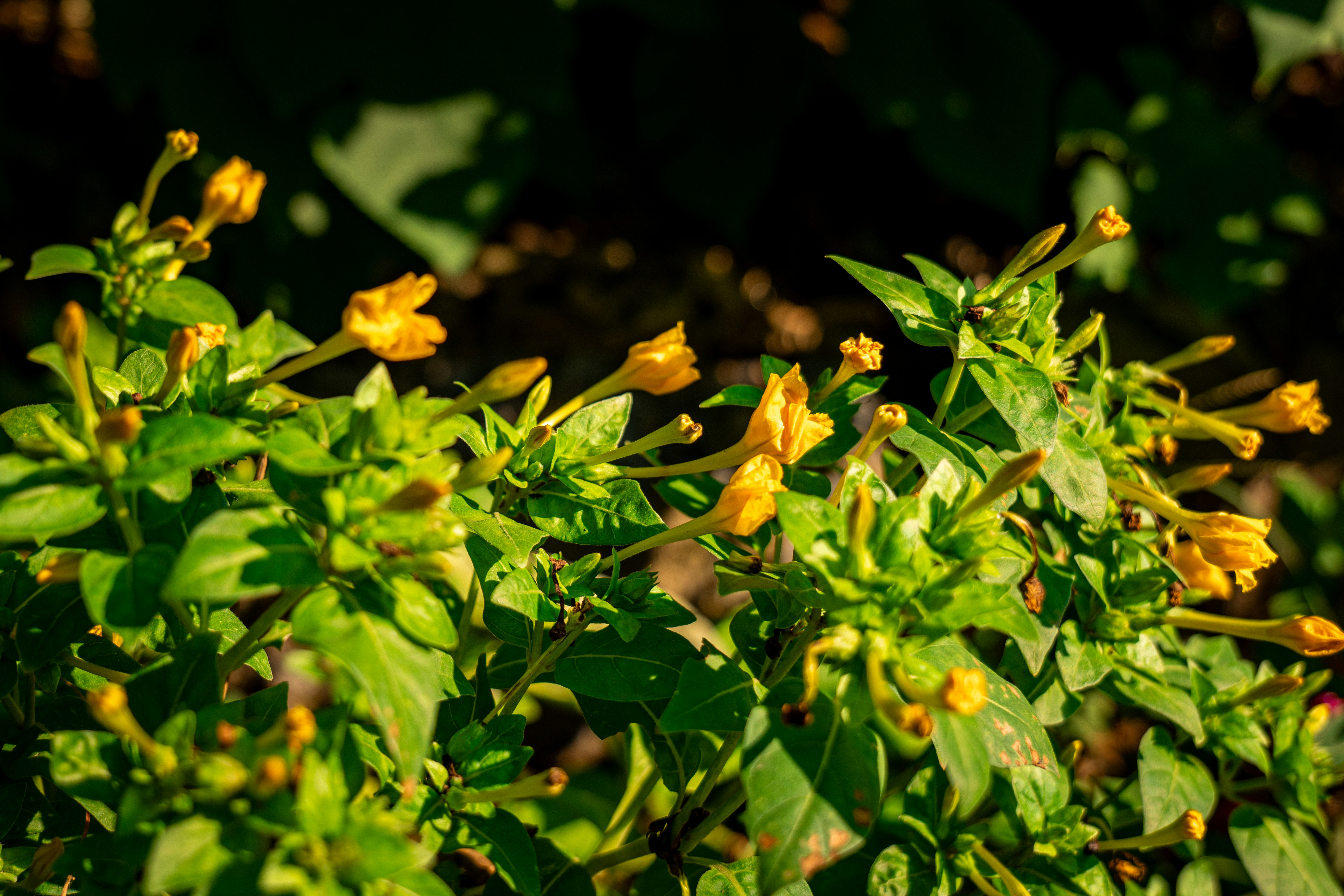 Photo by aasing_gwok