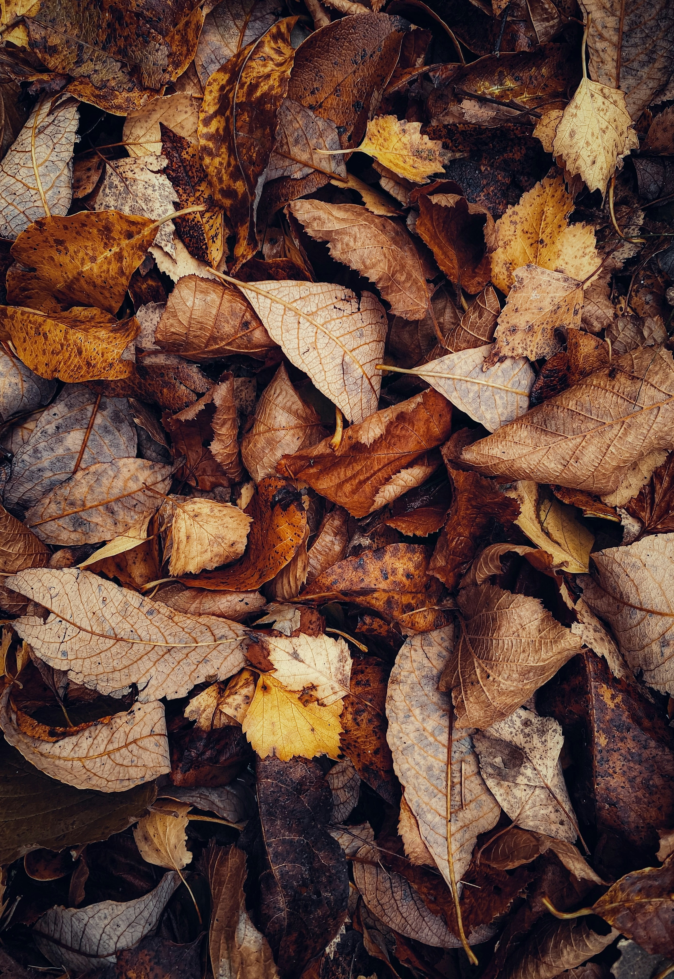 Photo by eugene_golovesov