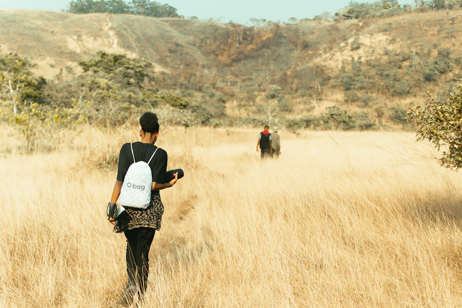 A walker crossing tall golden grass