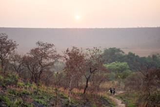 The sun is setting over a dirt path