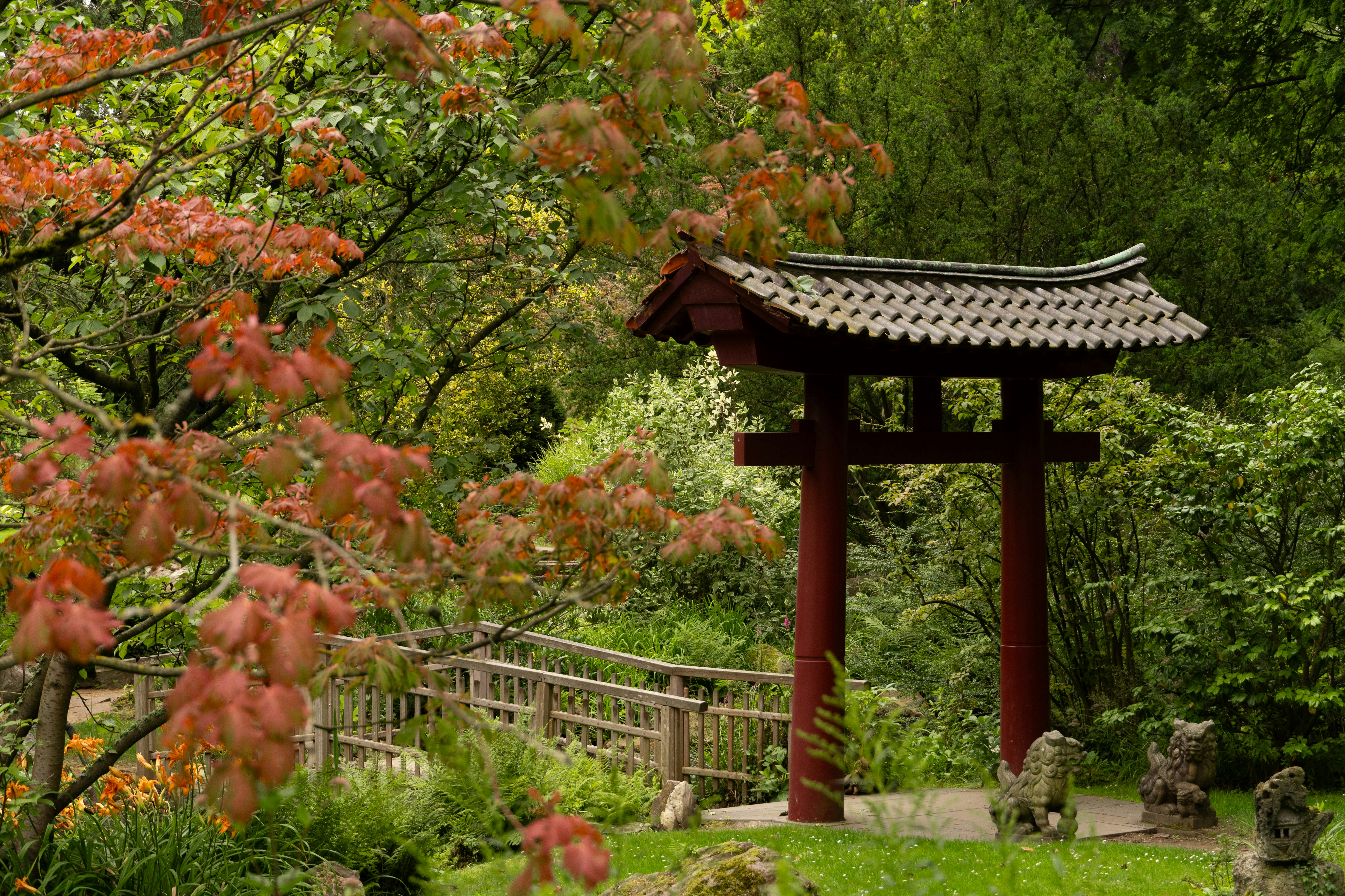 China Garden Lakewood Ohio Menu