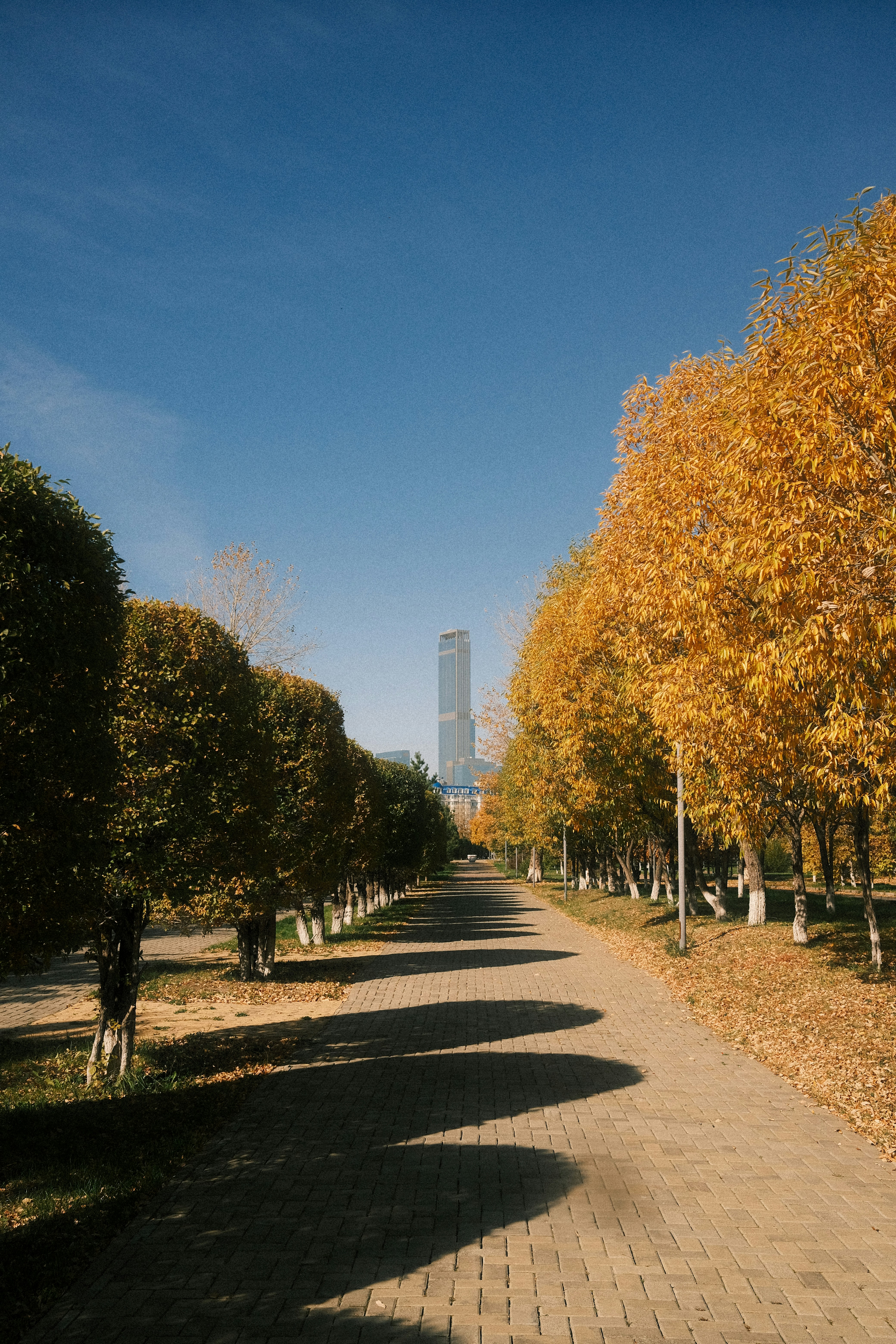 Photo by forzaalisherka