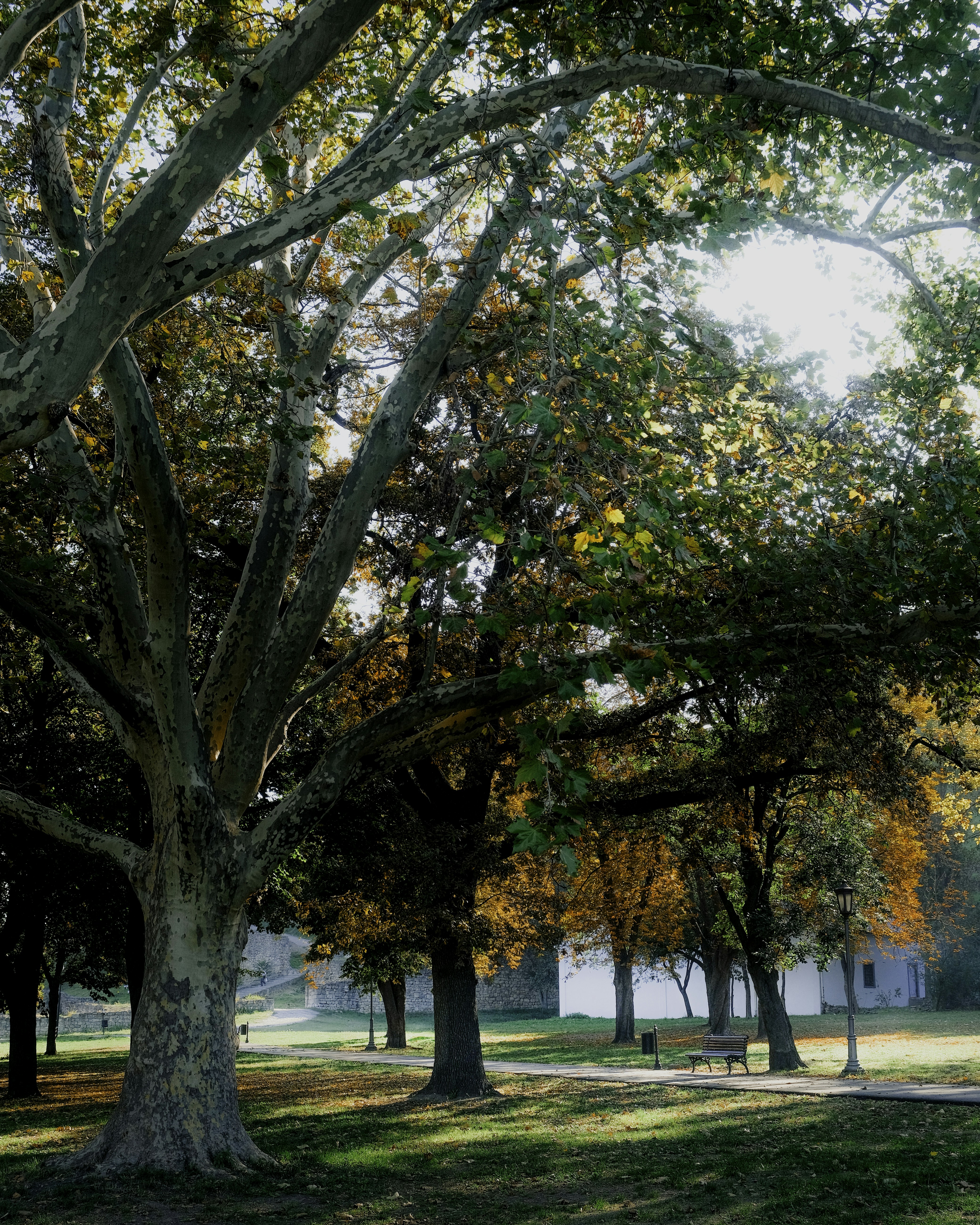 Photo by marishphoto