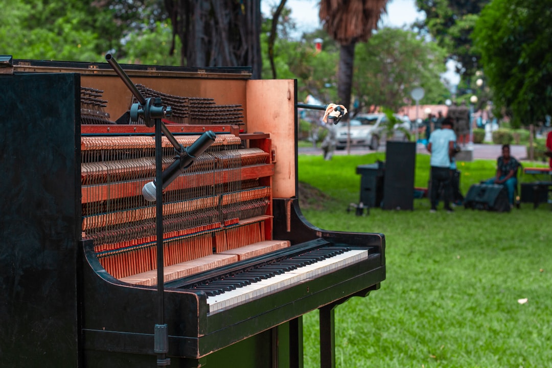 A piano sitting on top of a lush green field