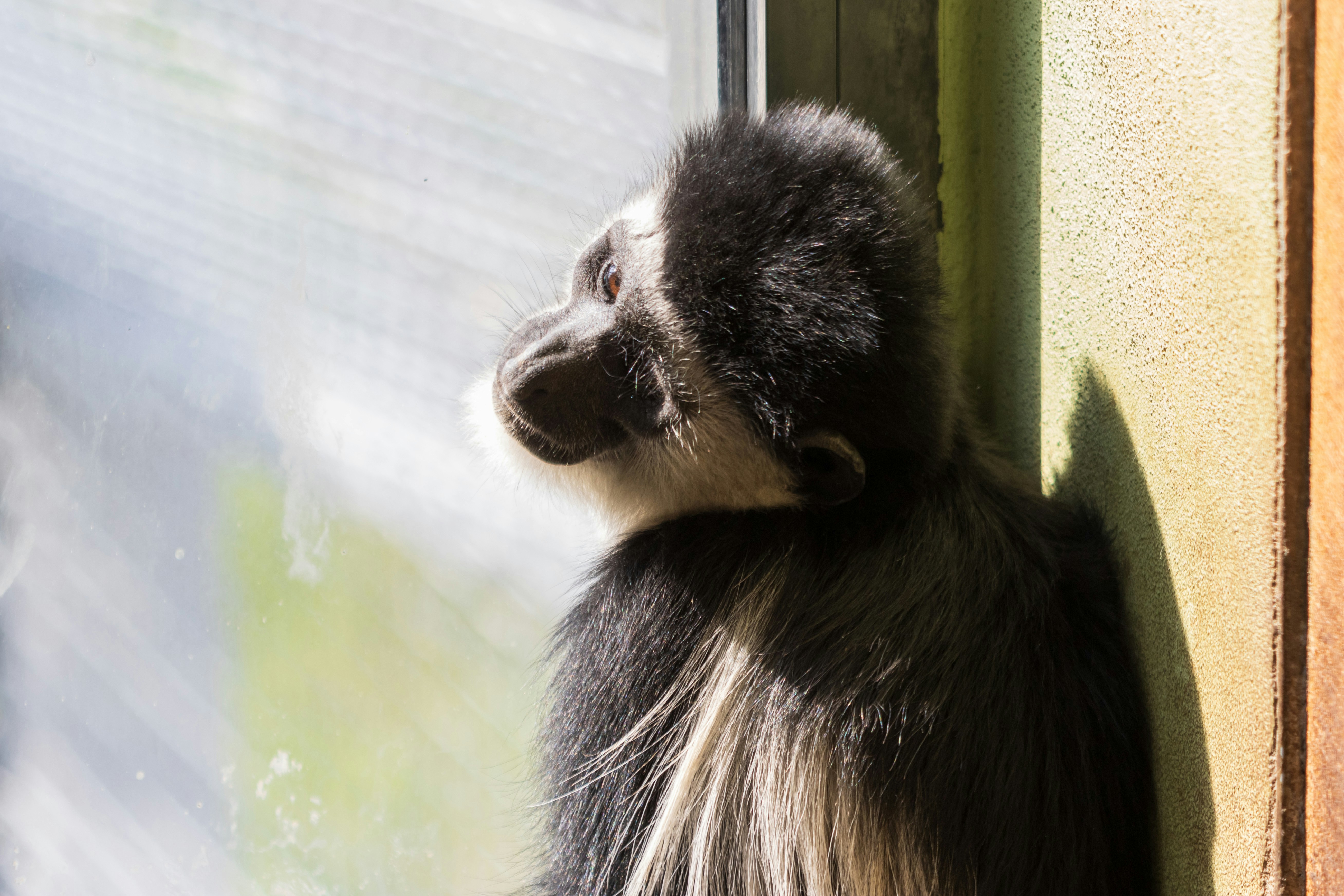 Photo by mechaowlstudios