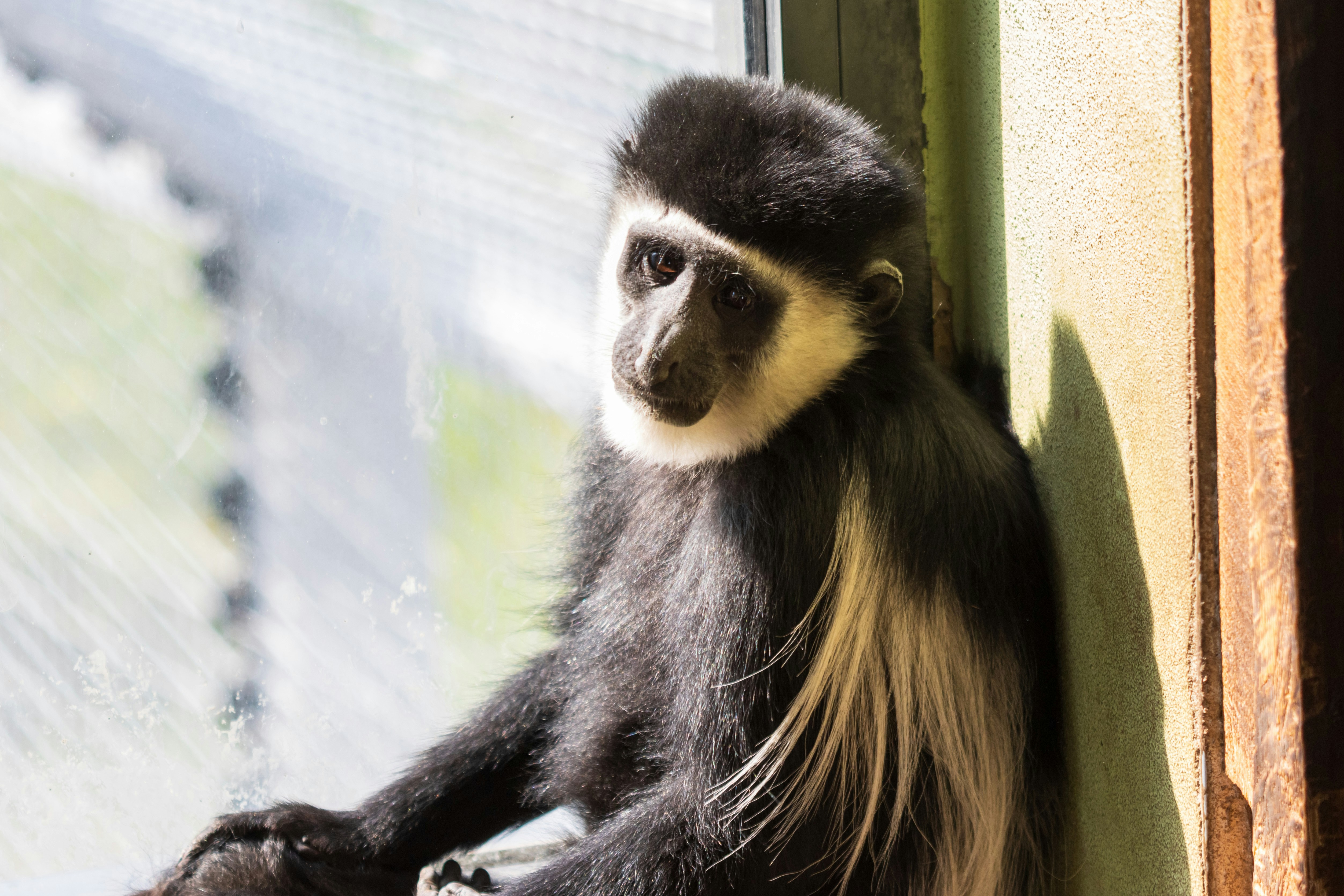 Photo by mechaowlstudios