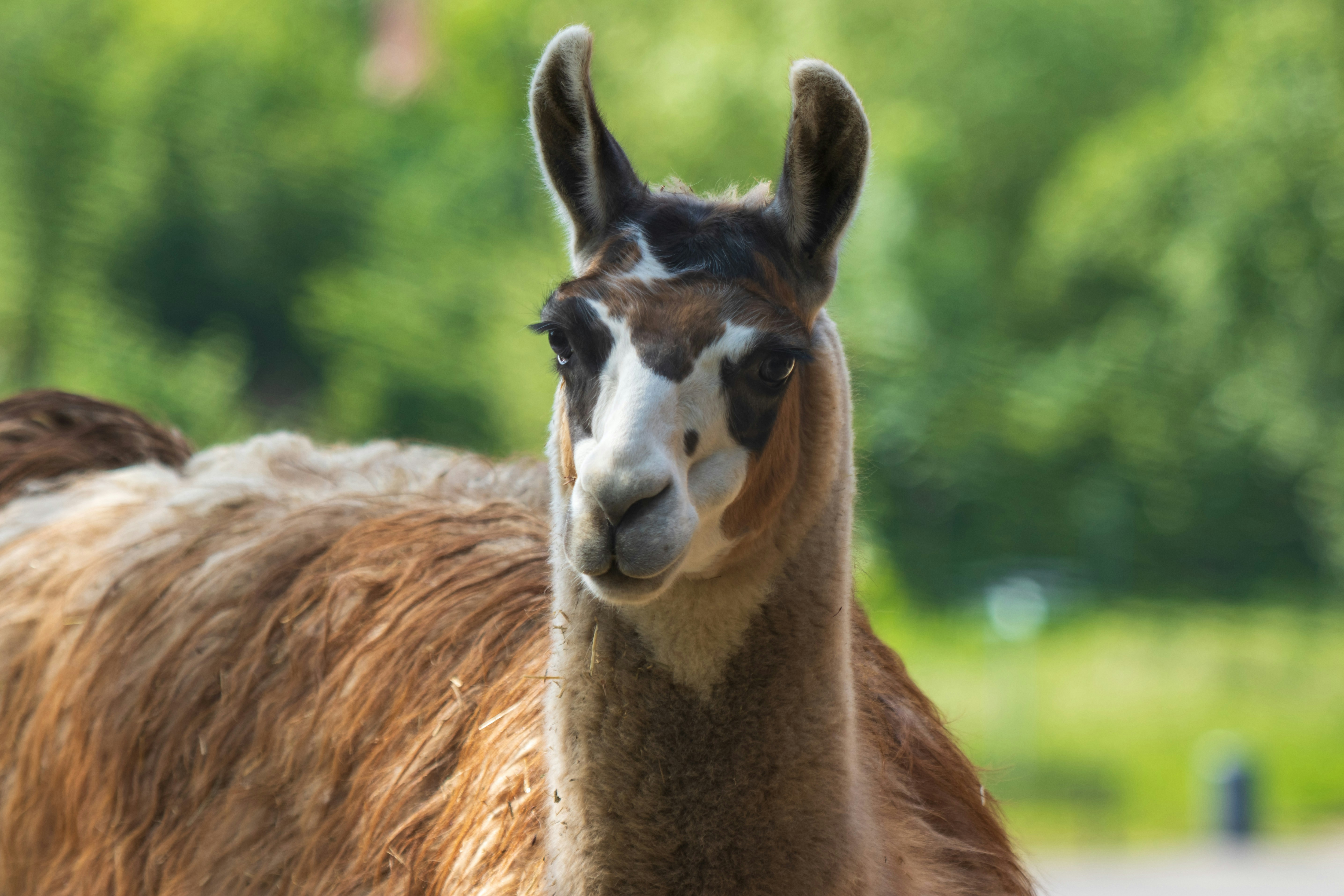 Photo by mechaowlstudios