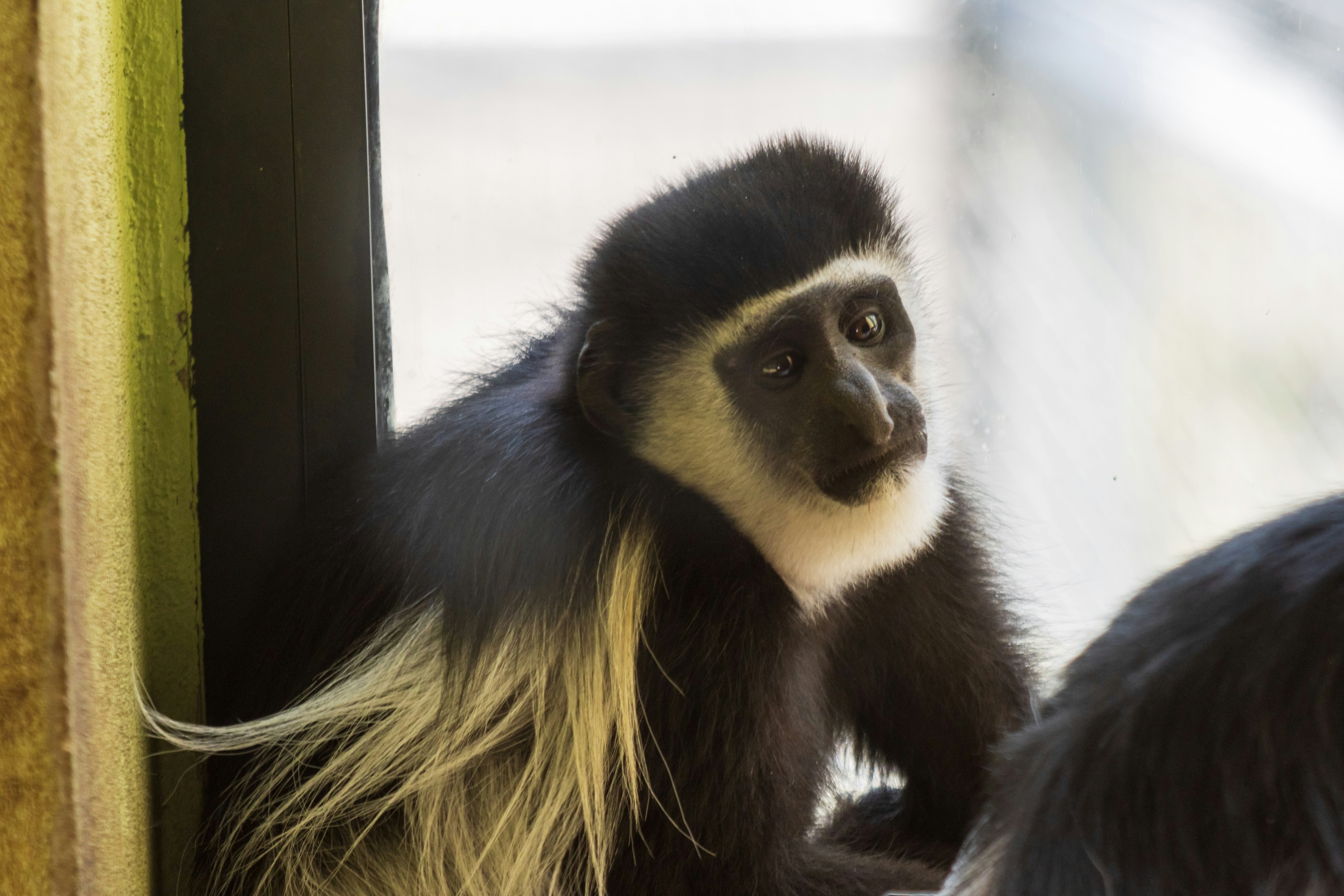 Photo by mechaowlstudios