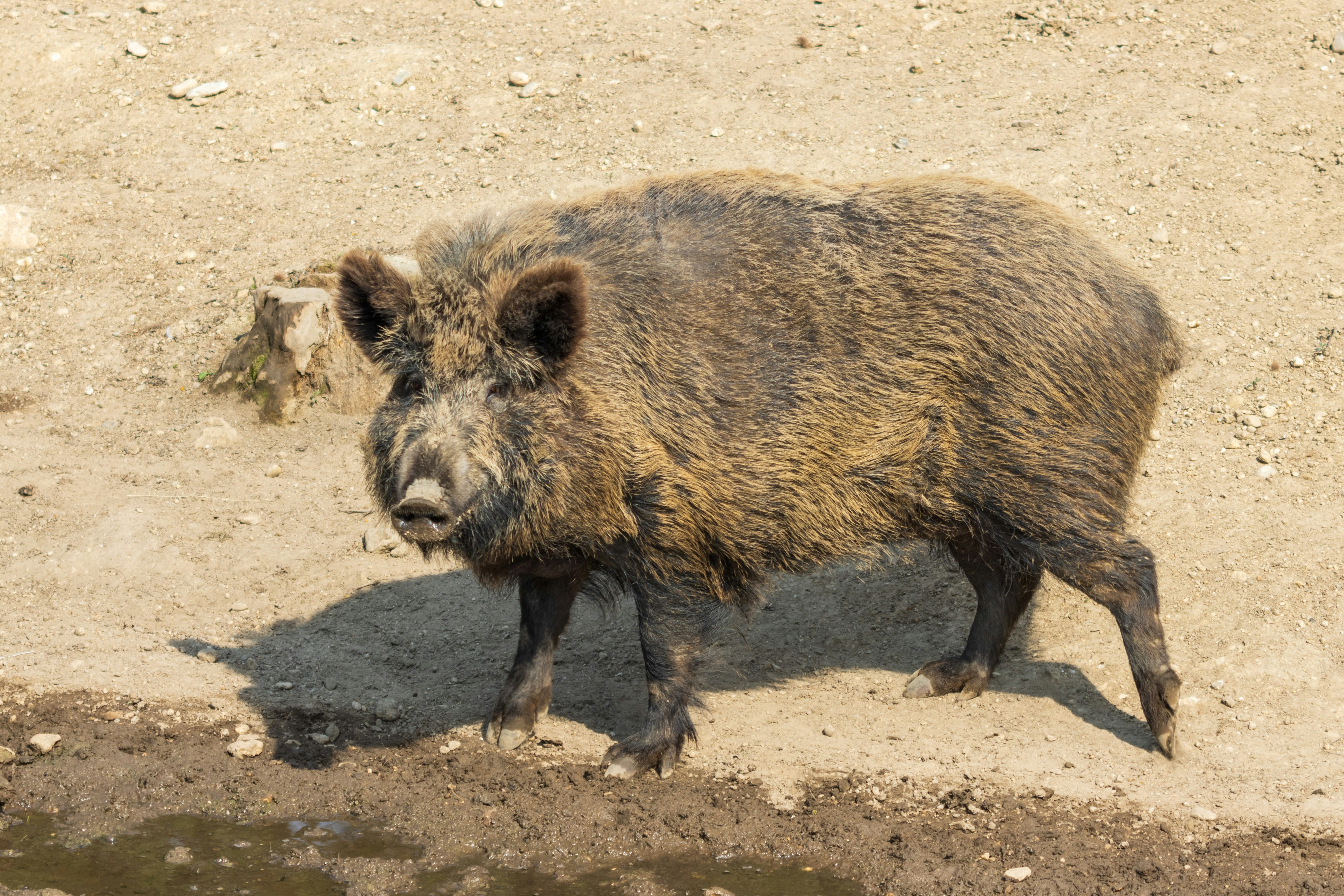 Photo by mechaowlstudios