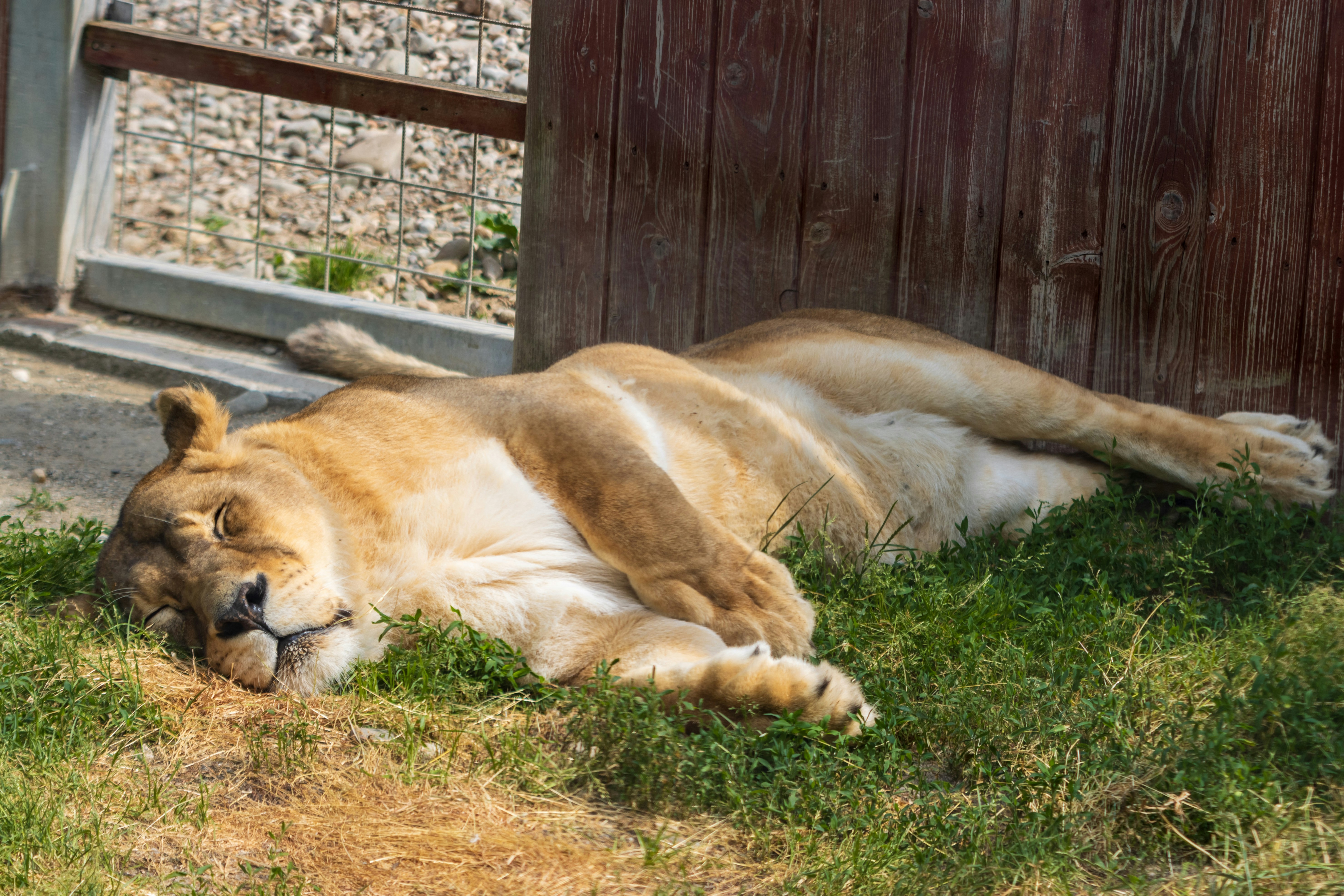 Photo by mechaowlstudios