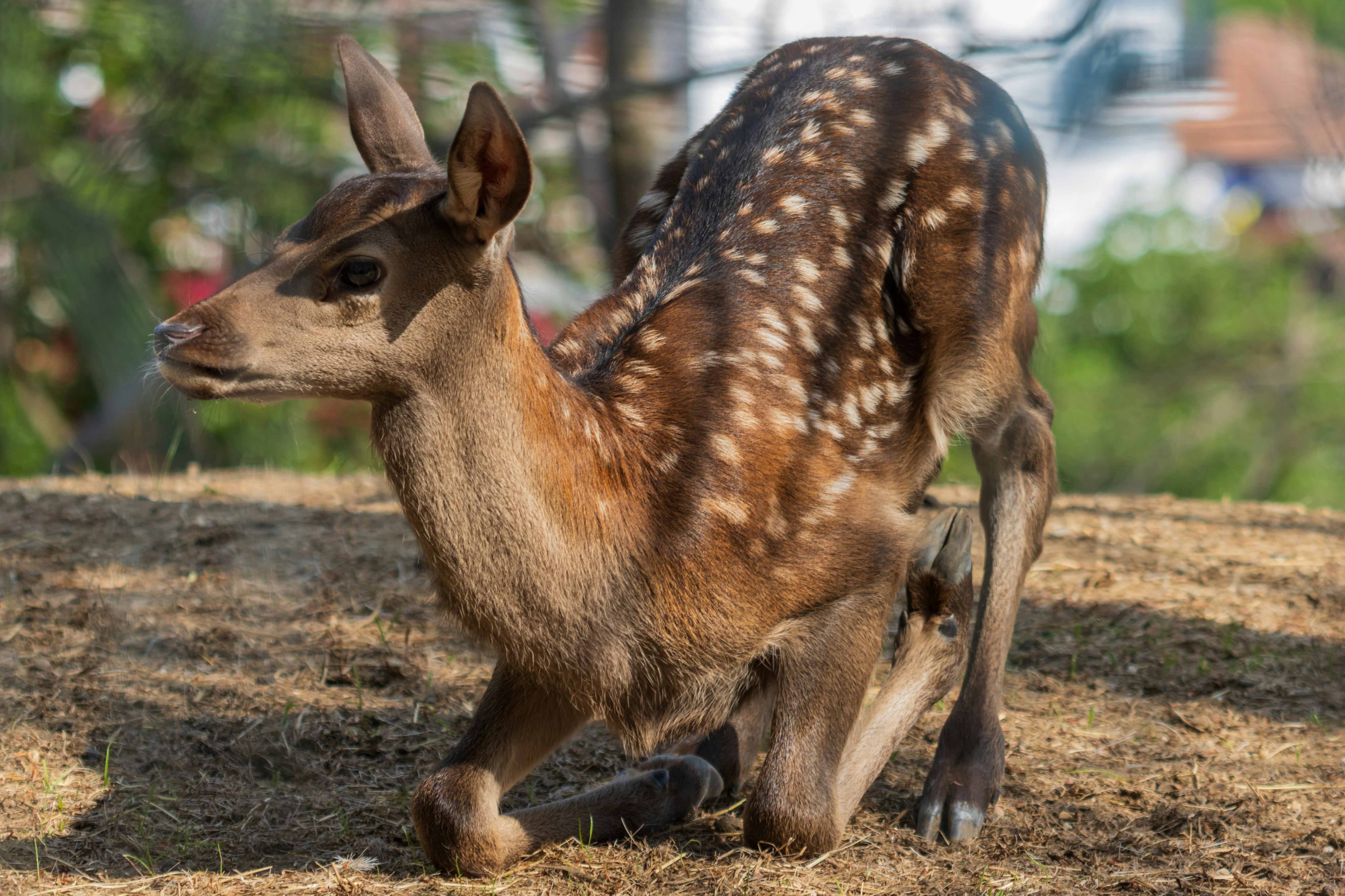 Photo by mechaowlstudios