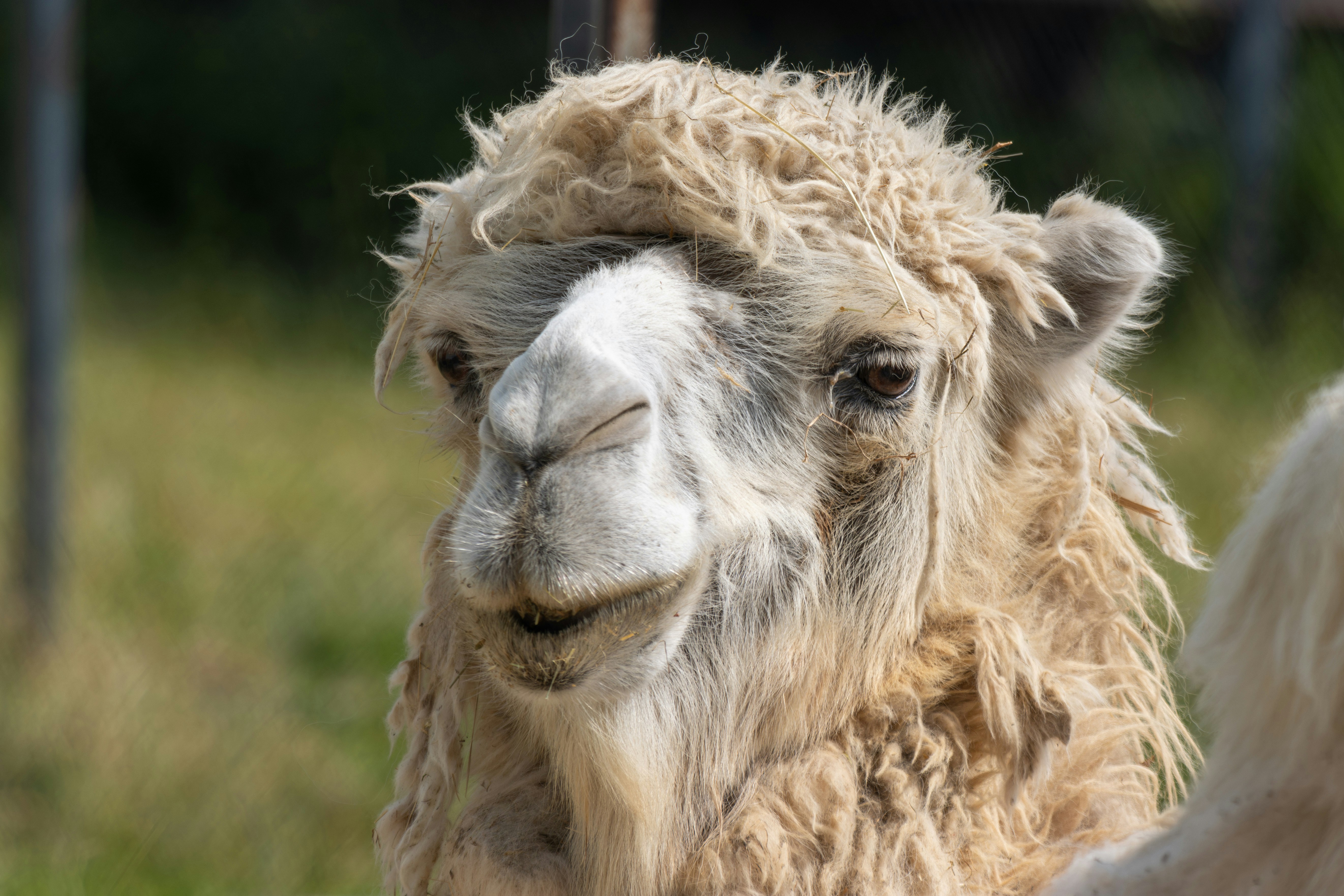 Photo by mechaowlstudios