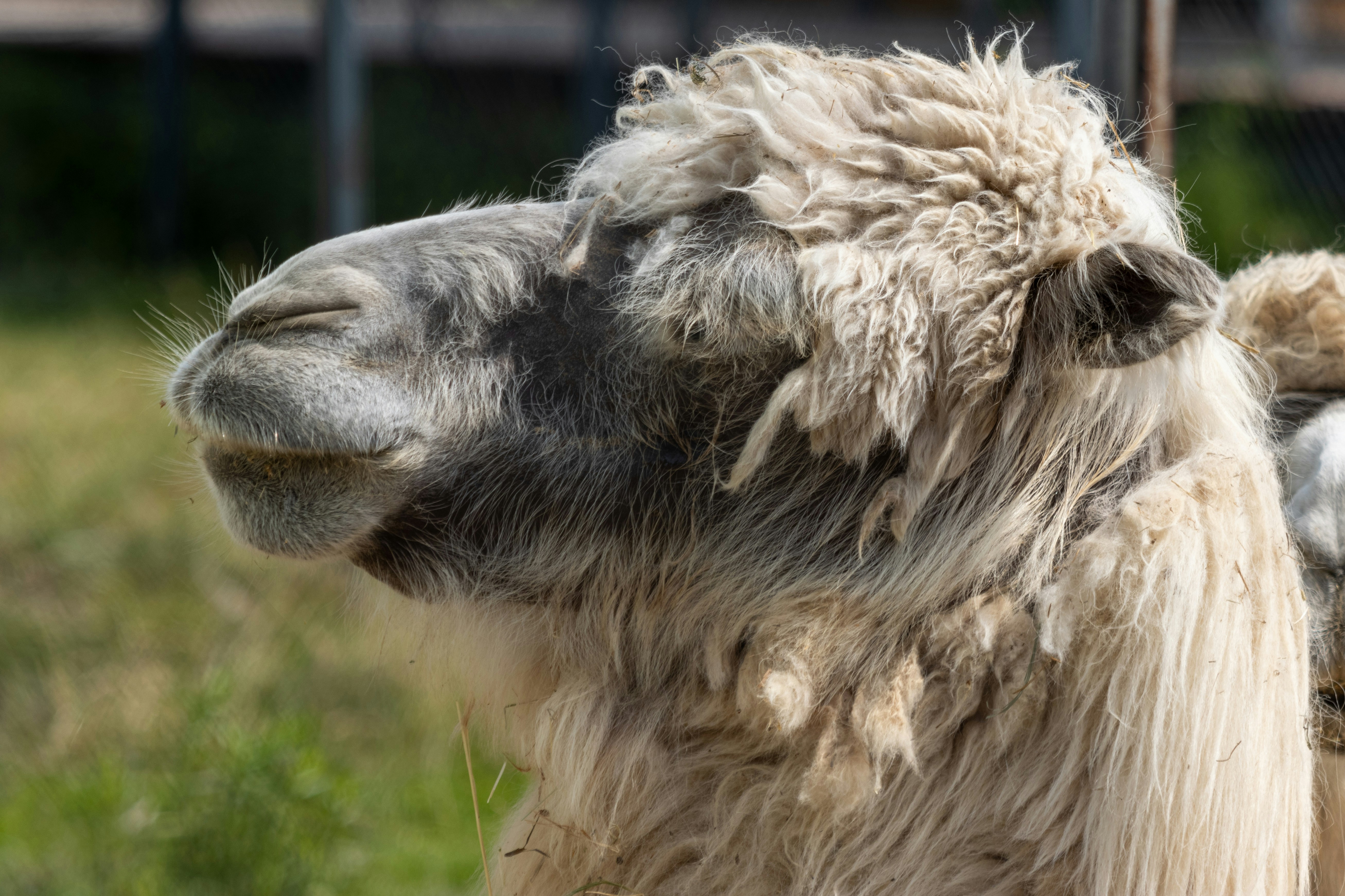 Photo by mechaowlstudios