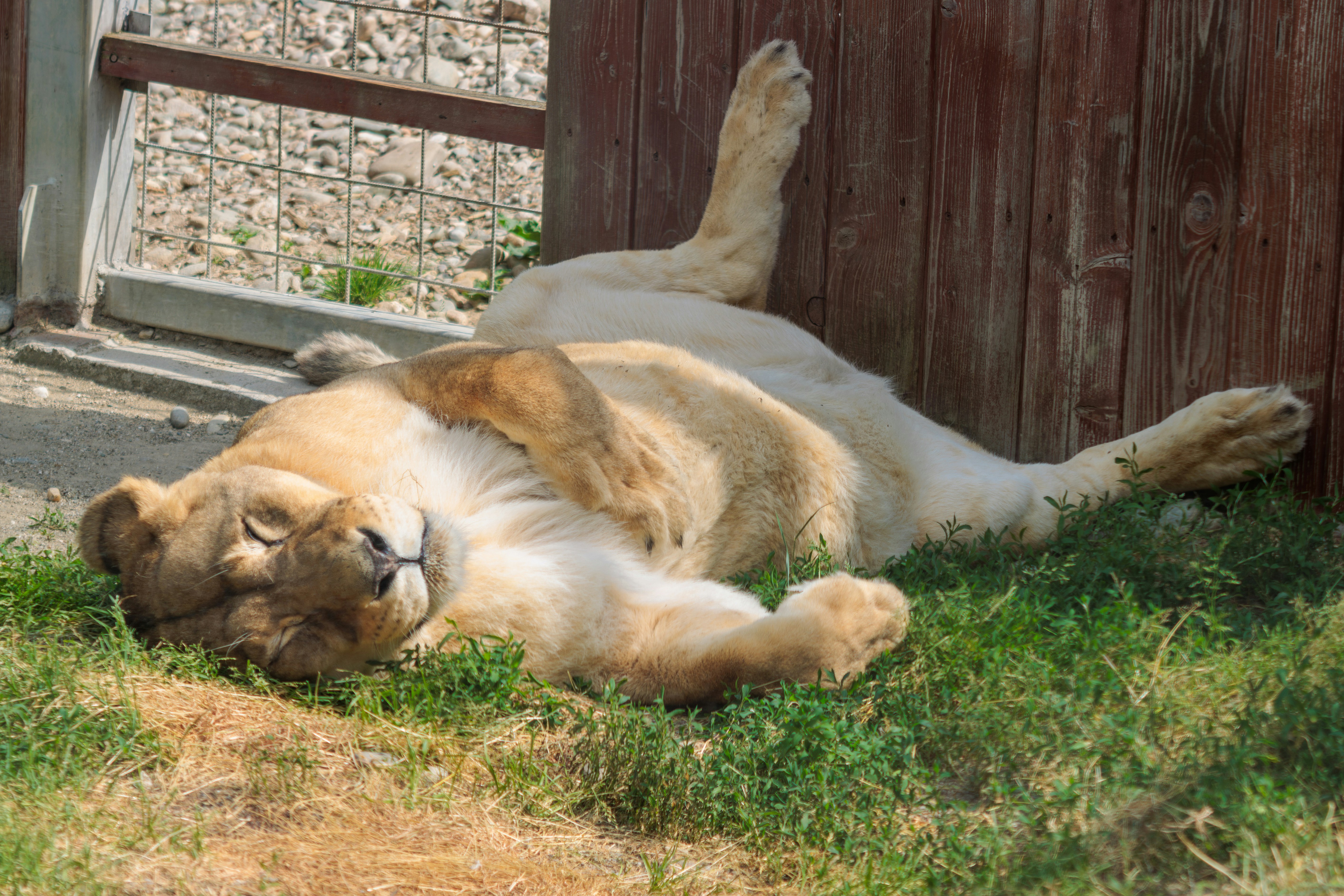 Photo by mechaowlstudios