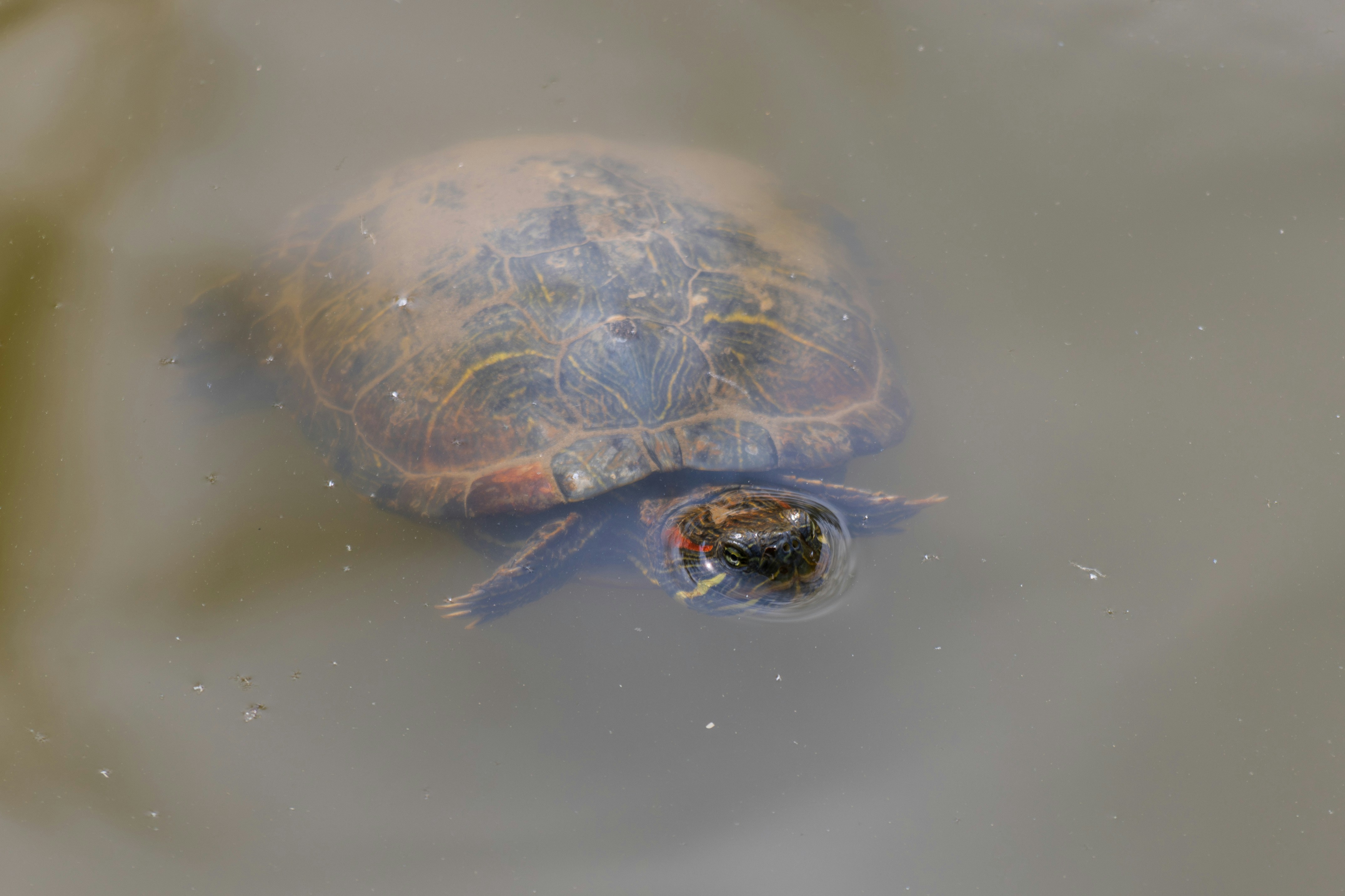 Photo by mechaowlstudios