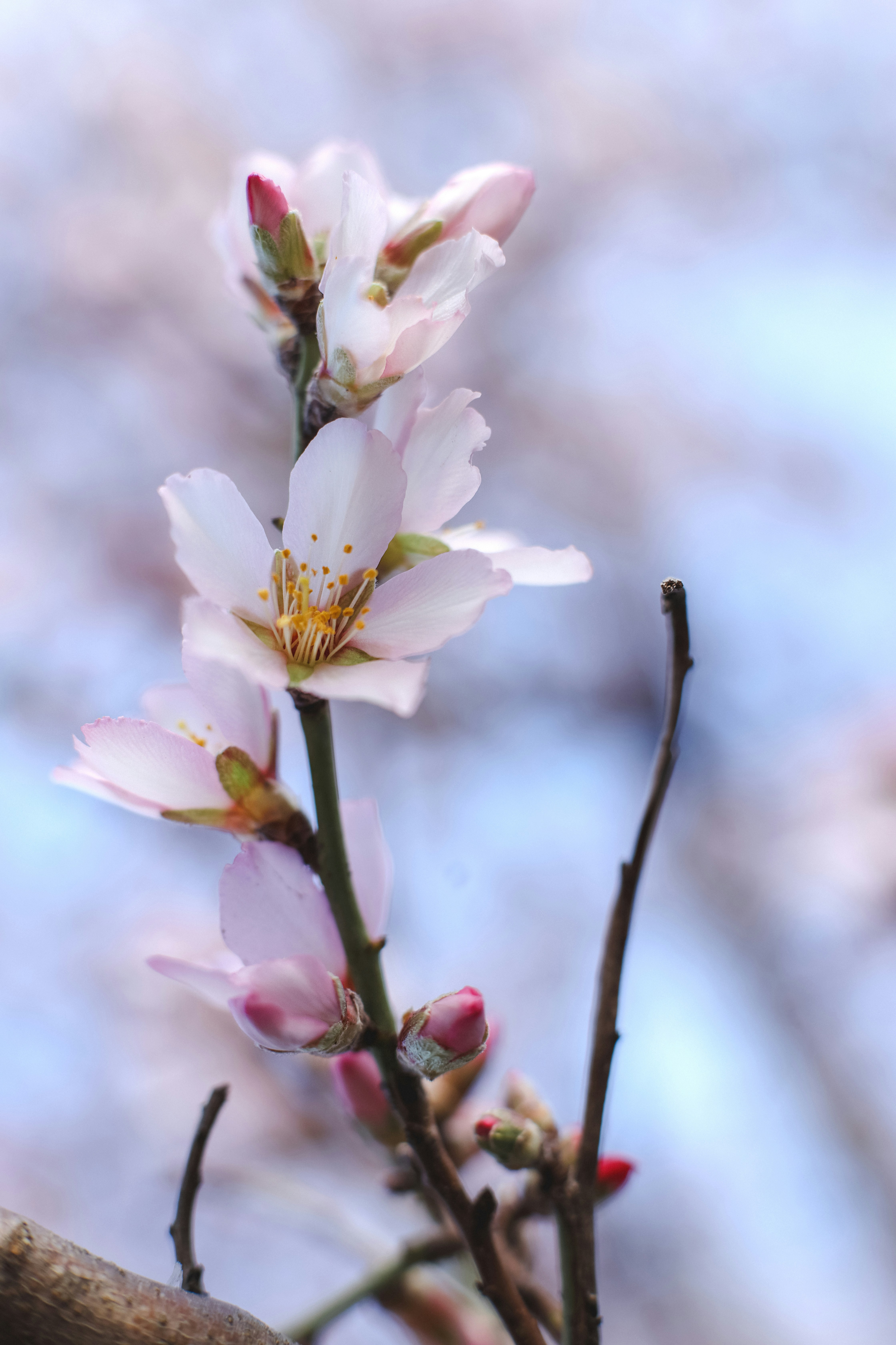 Photo by ankumpan