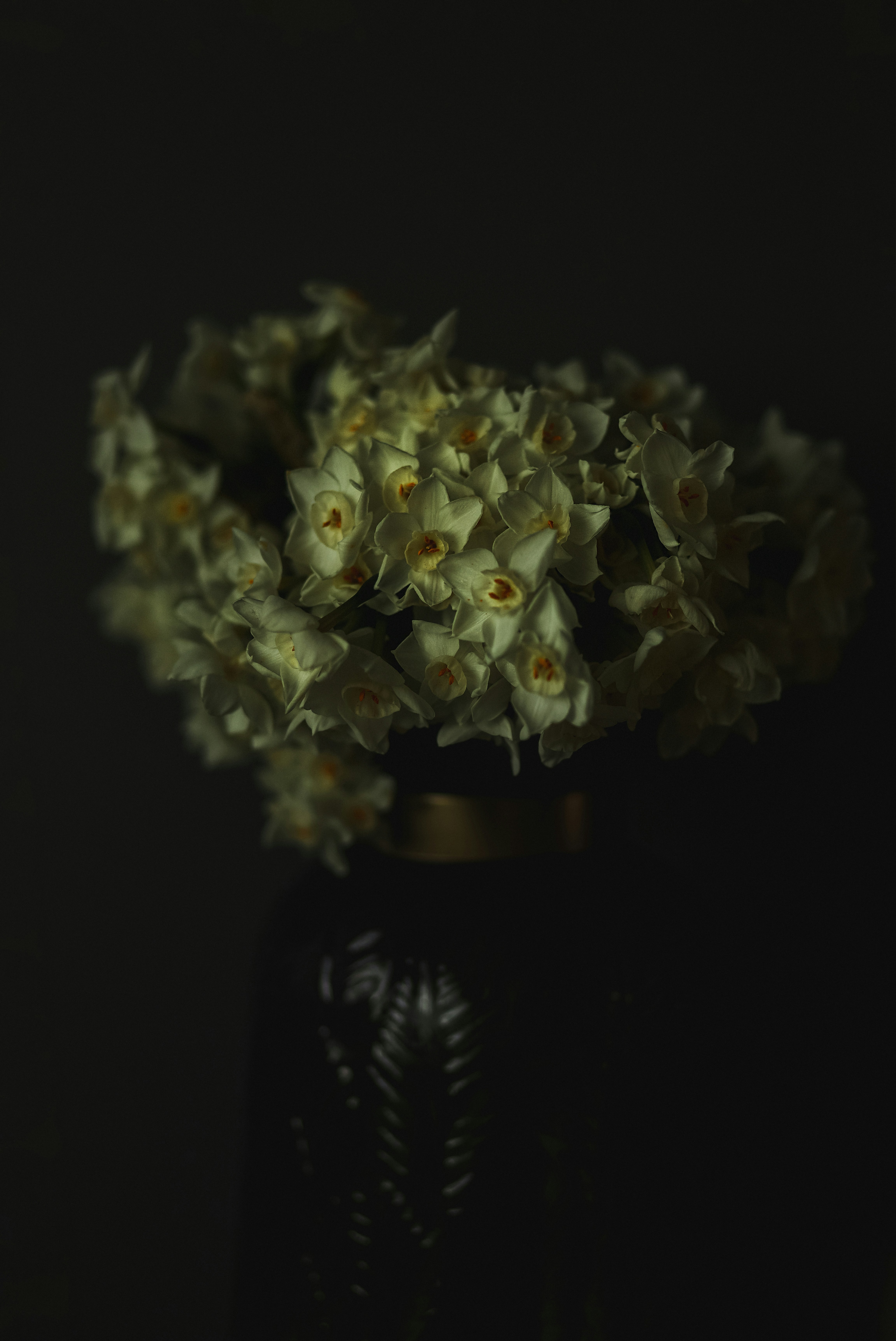 Photo by ankumpan