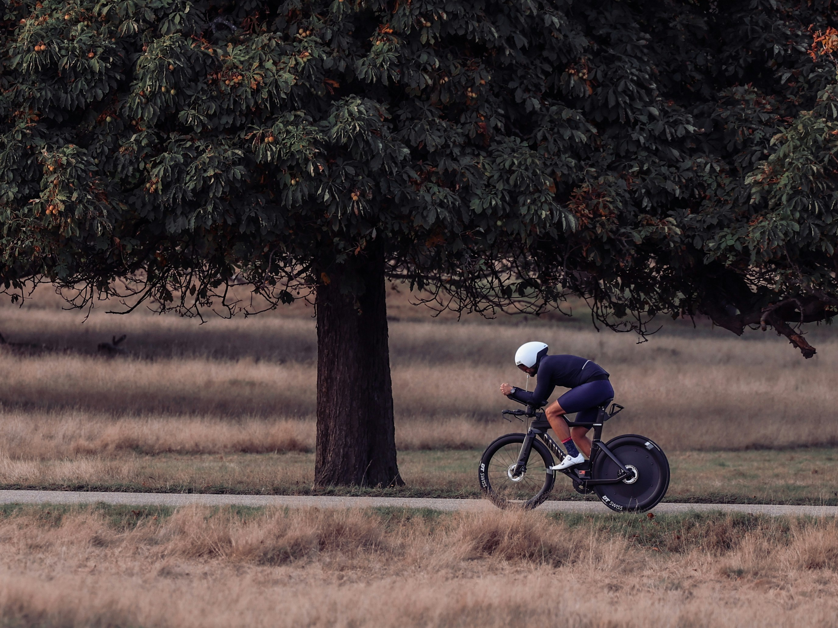 A man riding a bike down a road next to a tree