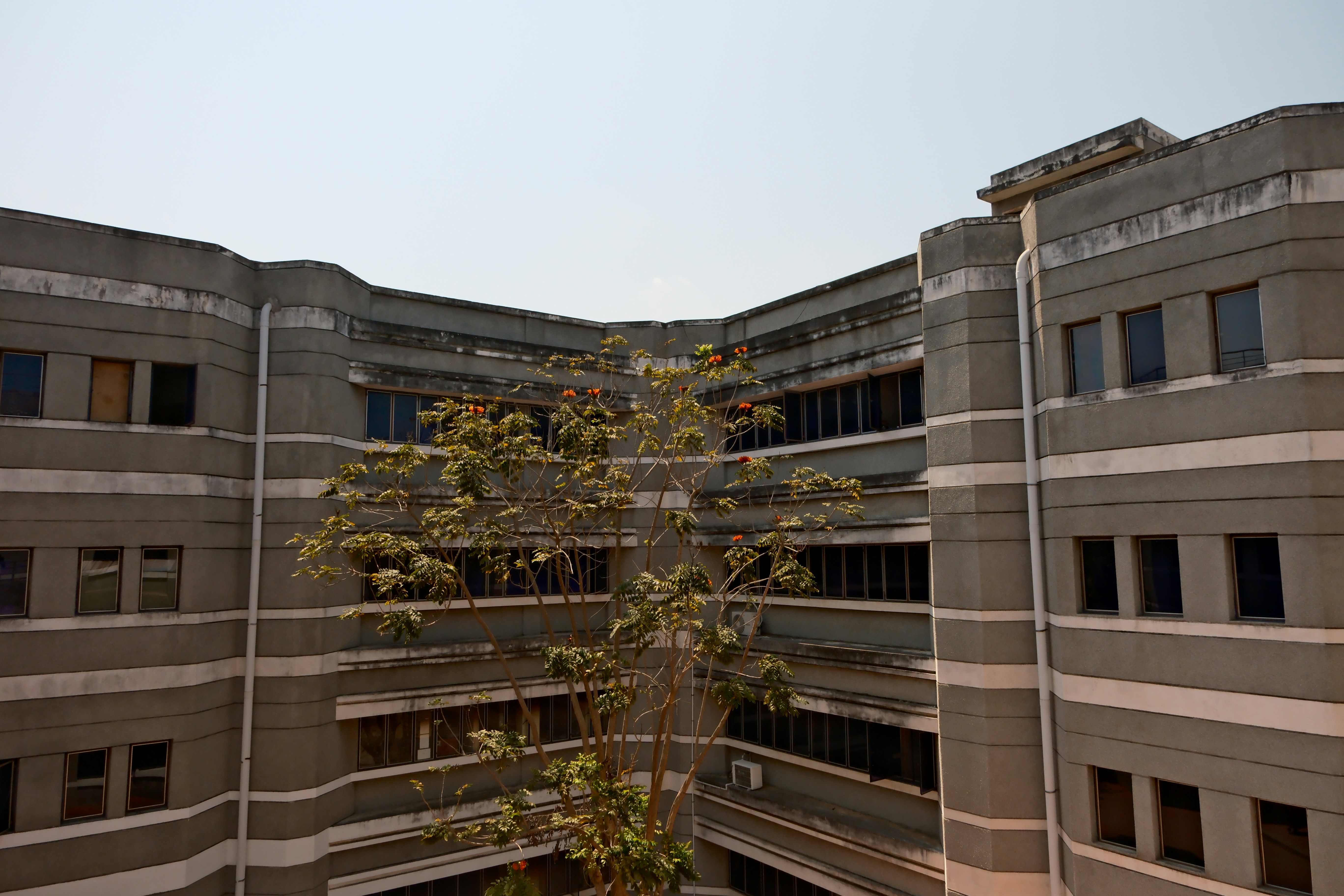 Photo by jayak_surya