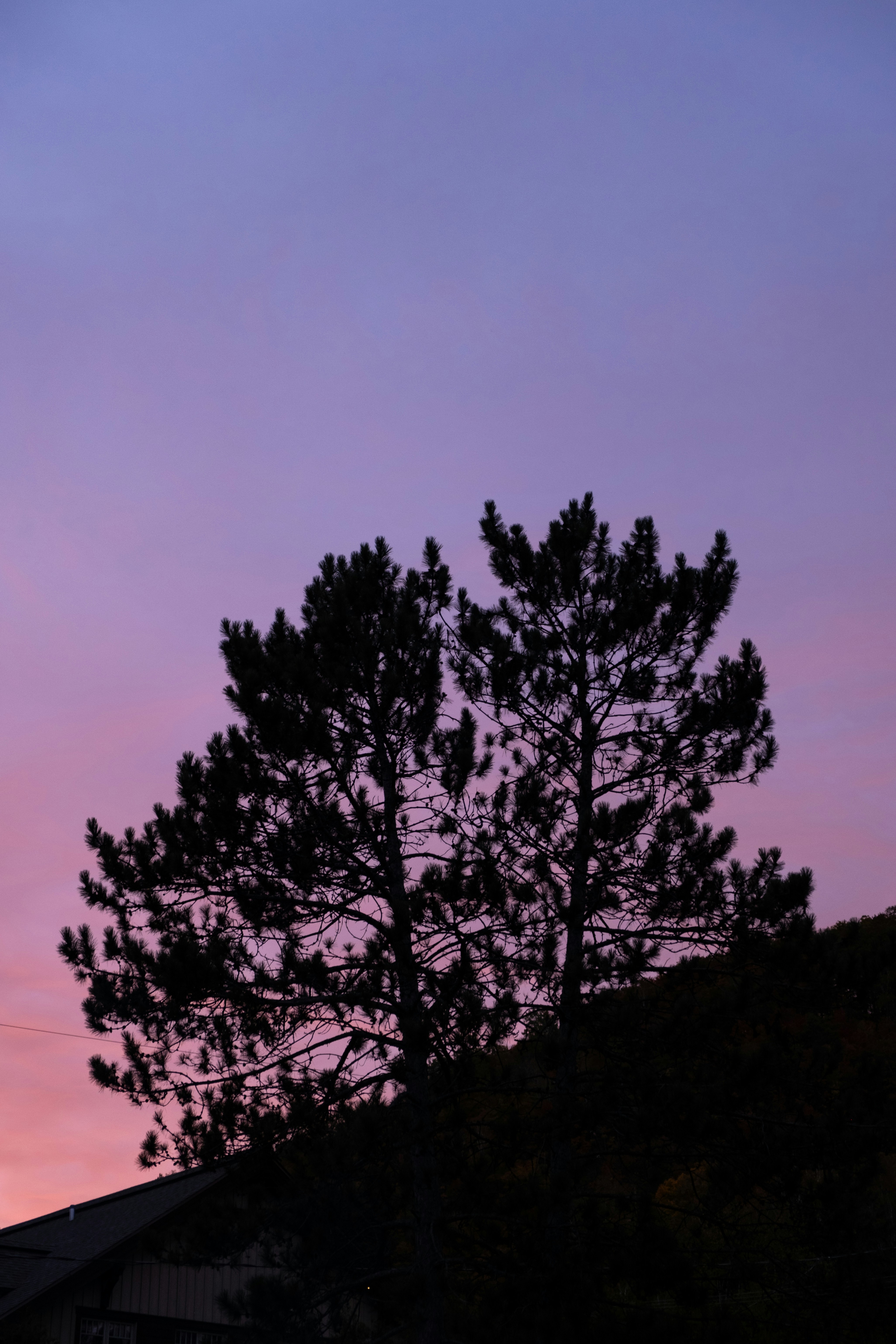 Photo by bylennonk