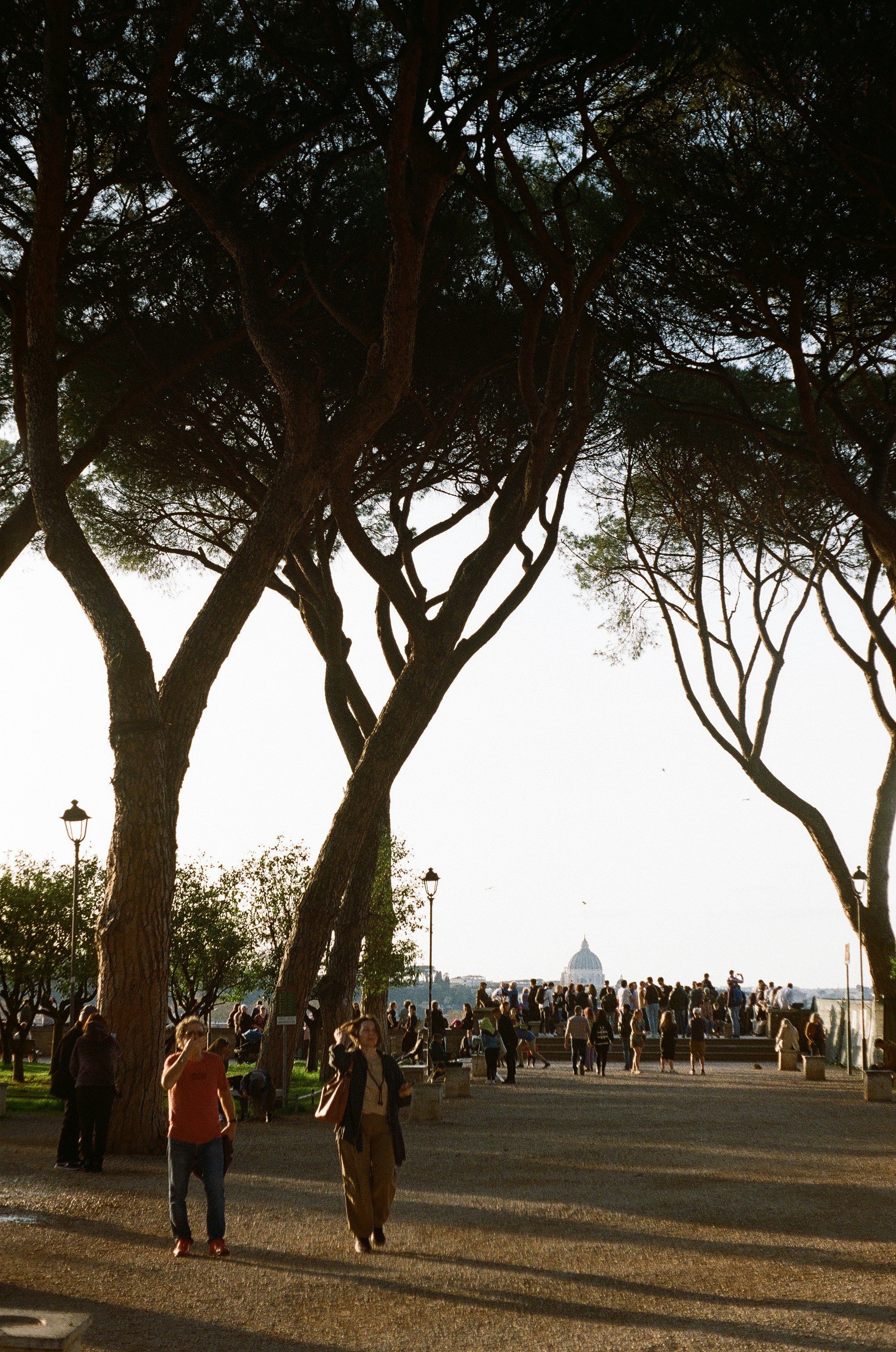 A group of people walking down a street next to trees