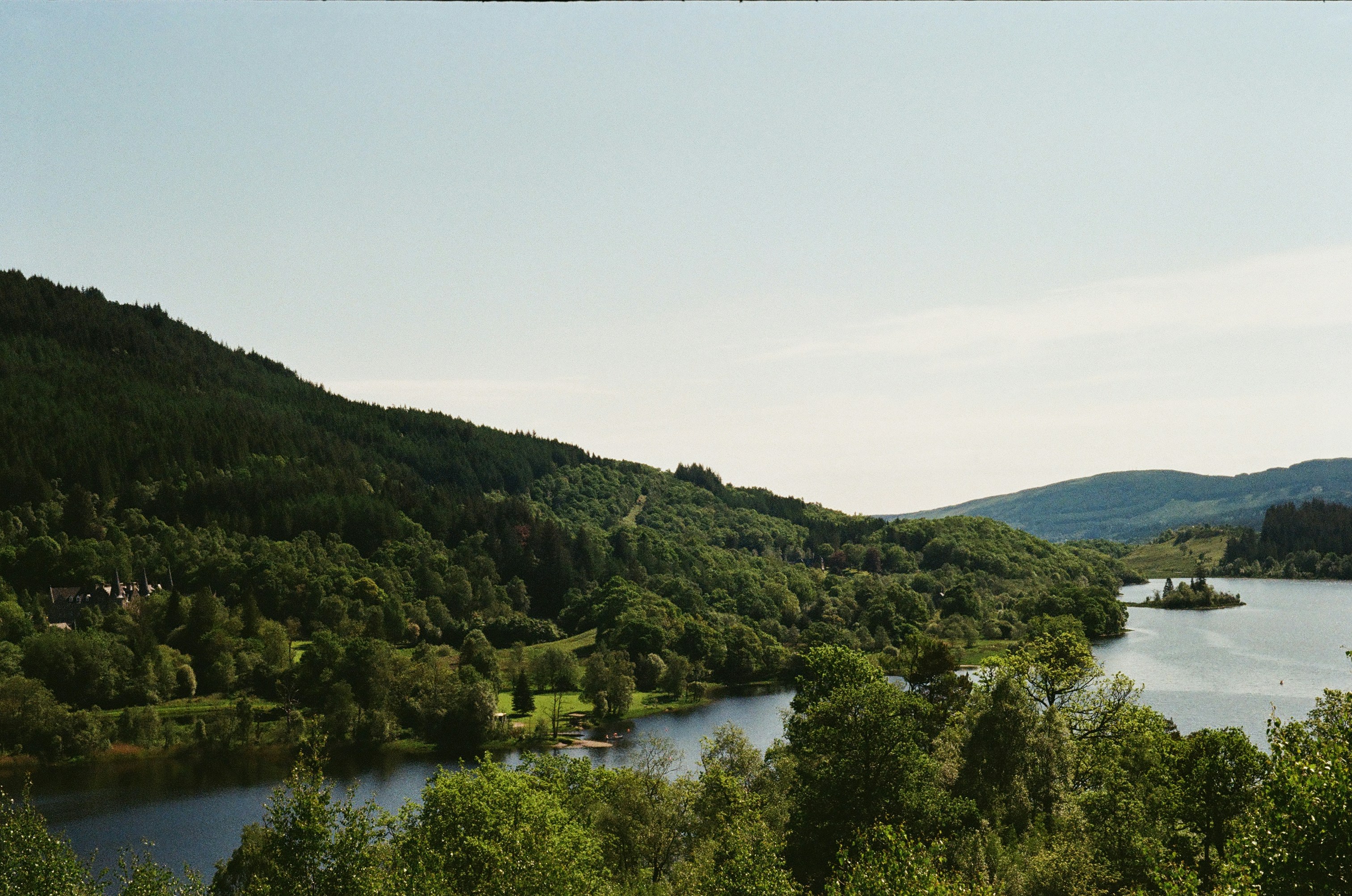 A view of a lake surrounded by trees
