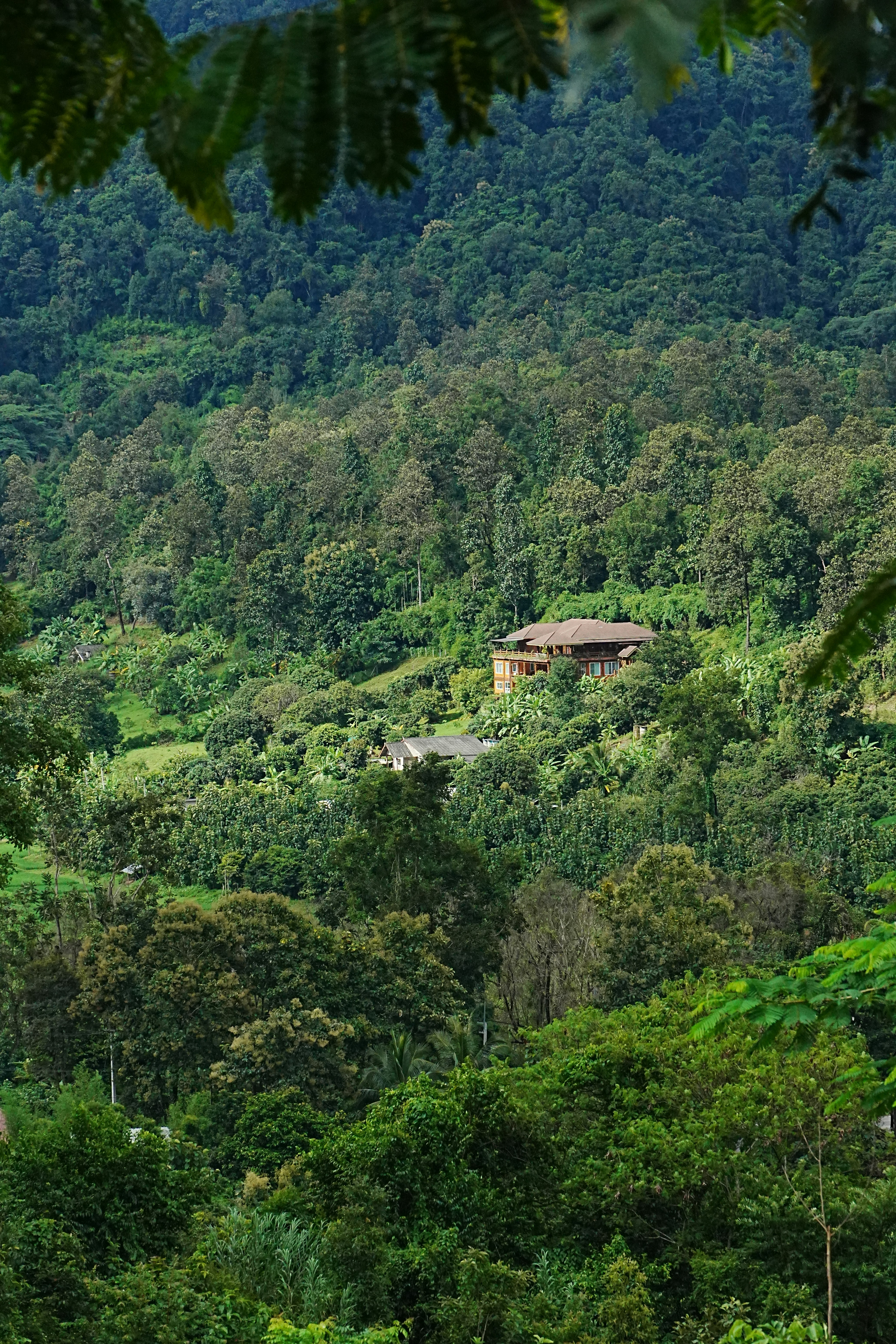 Aerial view of Luna Lodge surrounded by lush rainforest