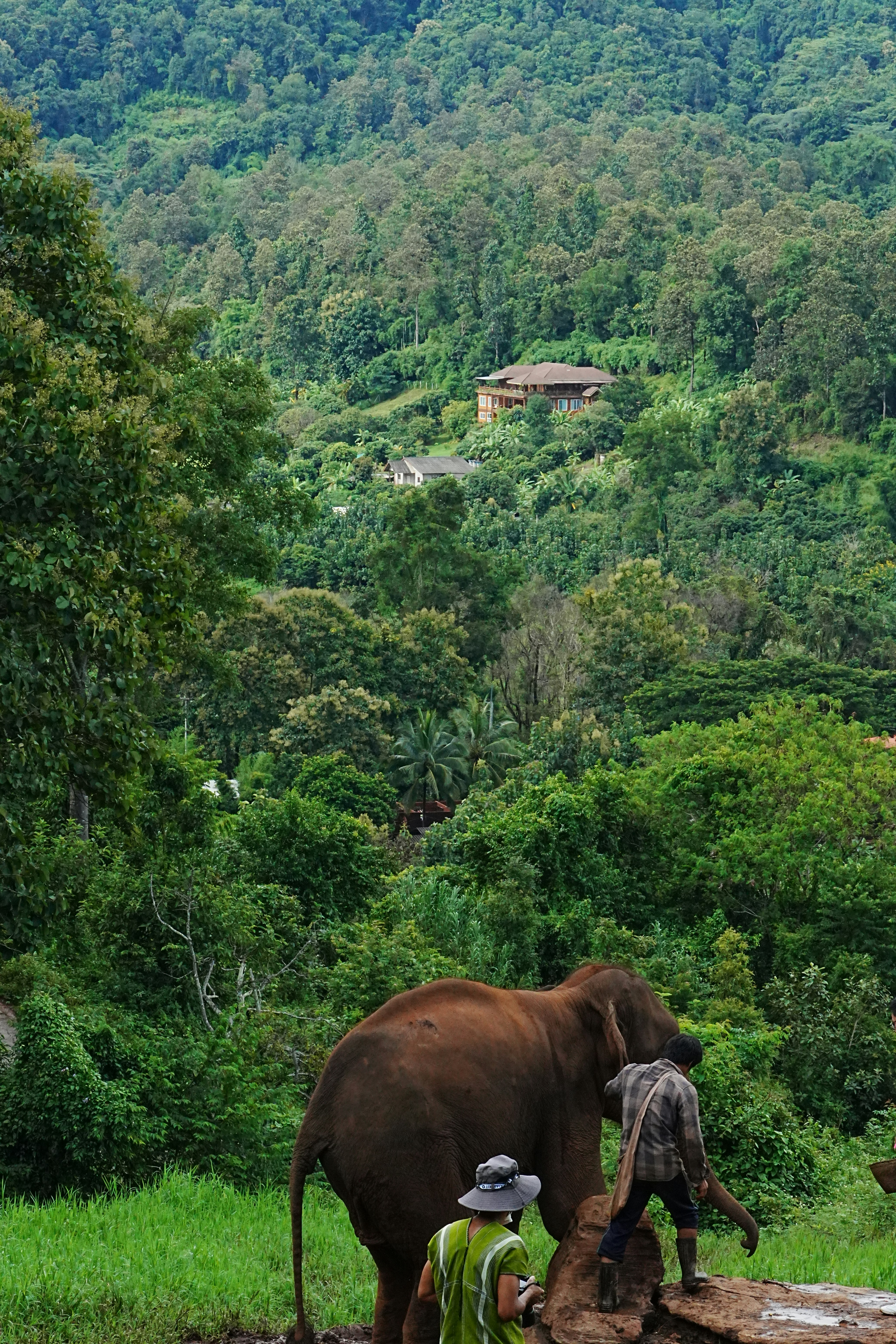 elephant hills thailand