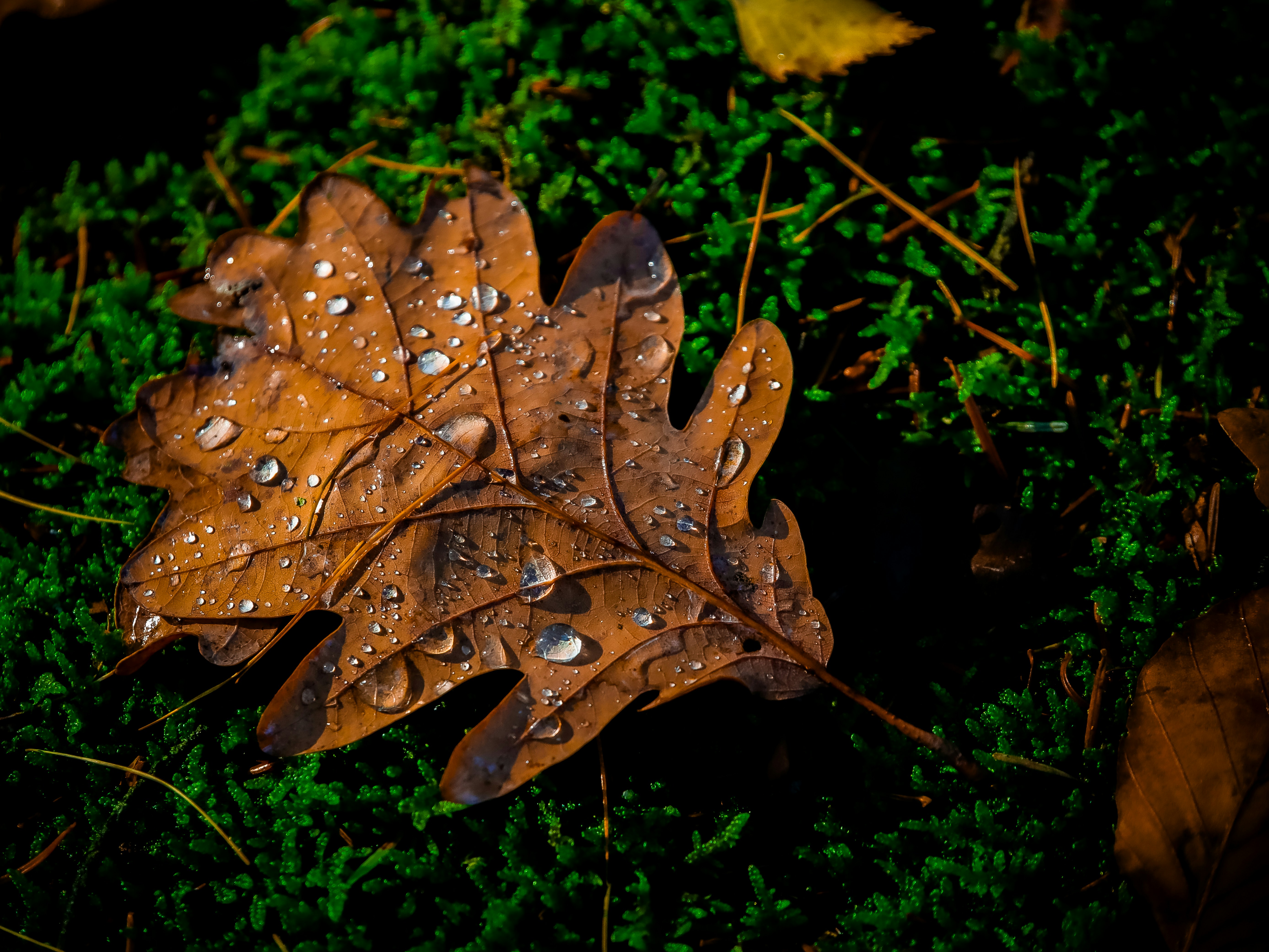 Photo by magictravel