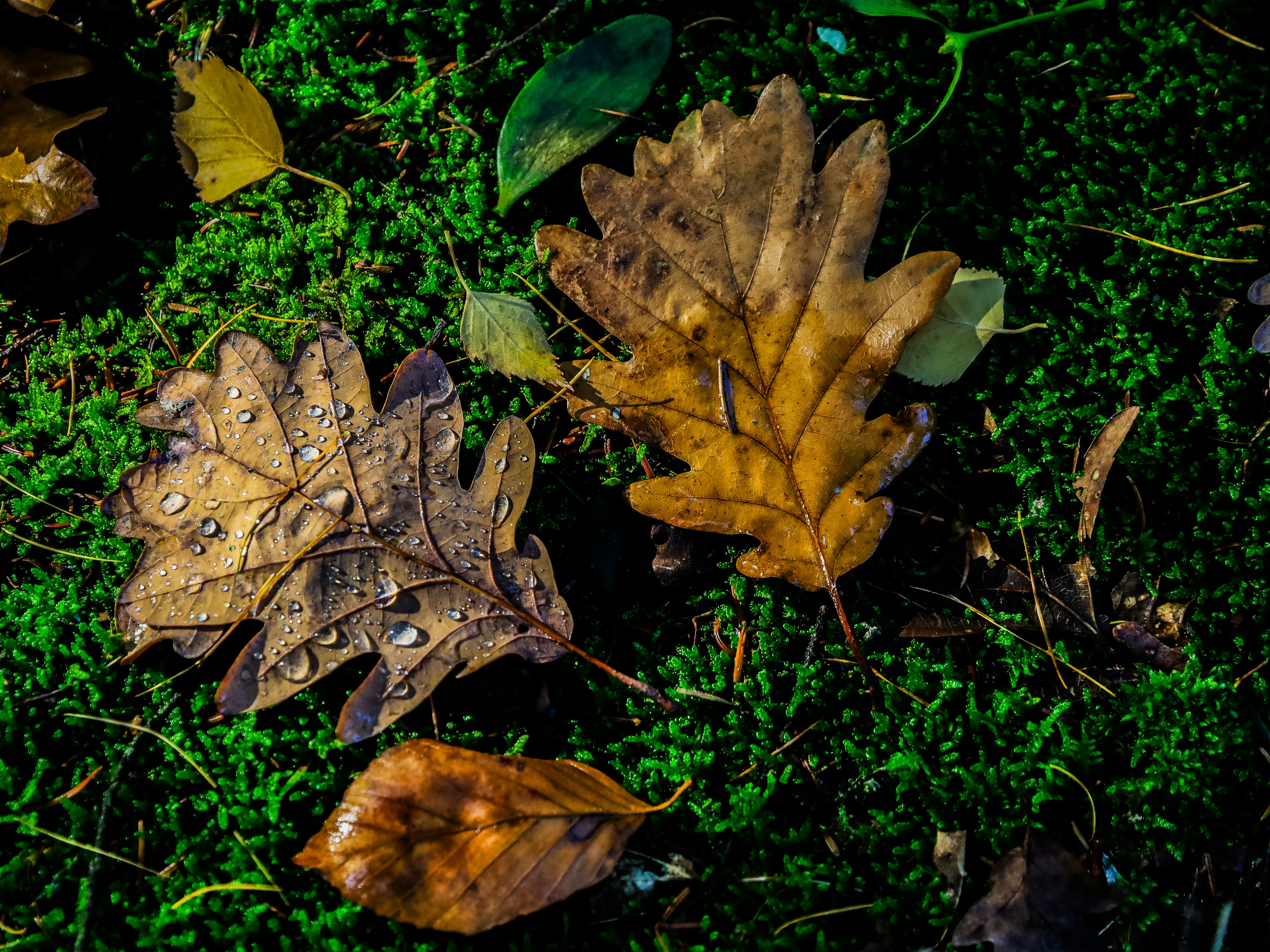 Photo by magictravel