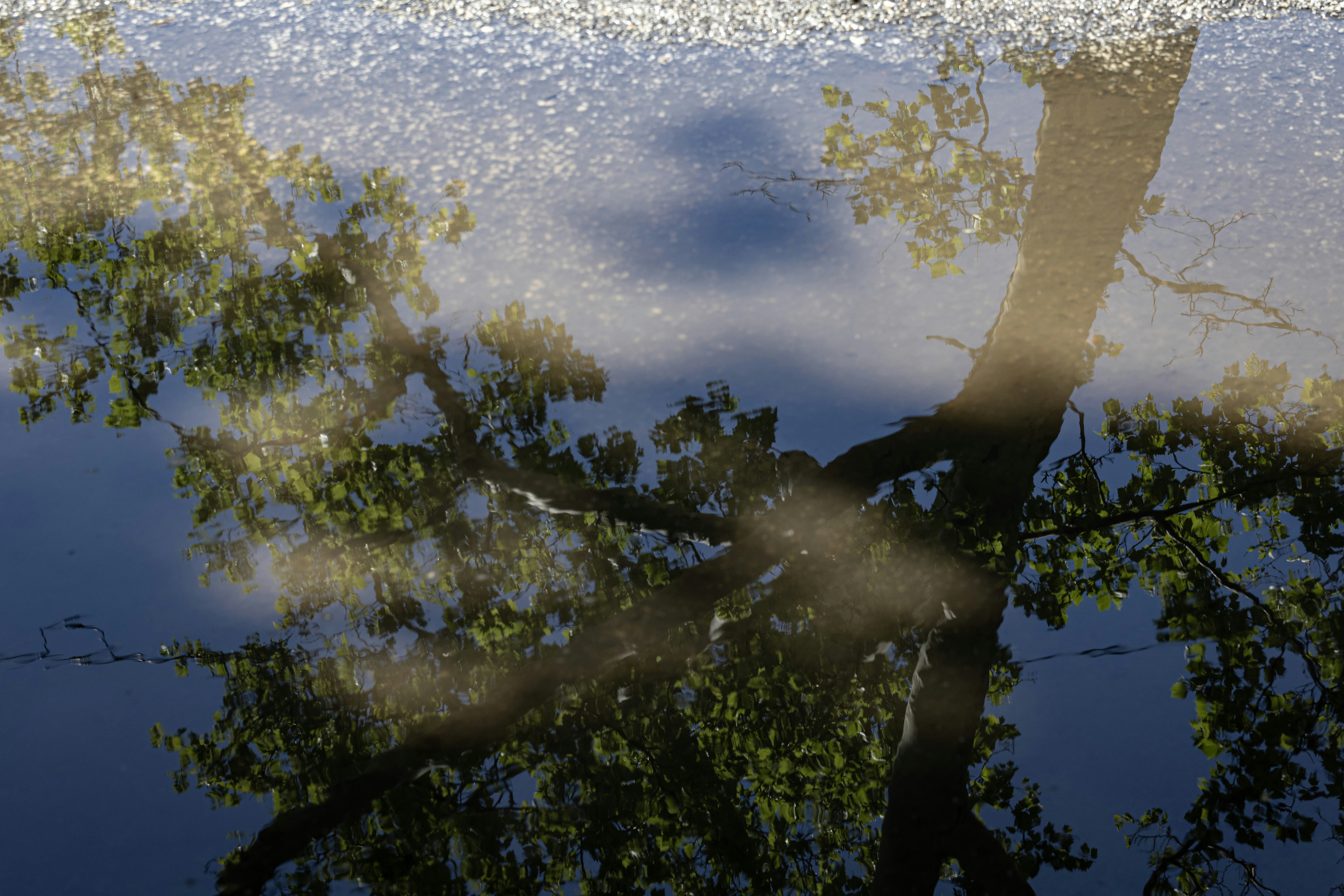 Photo by etherealpics