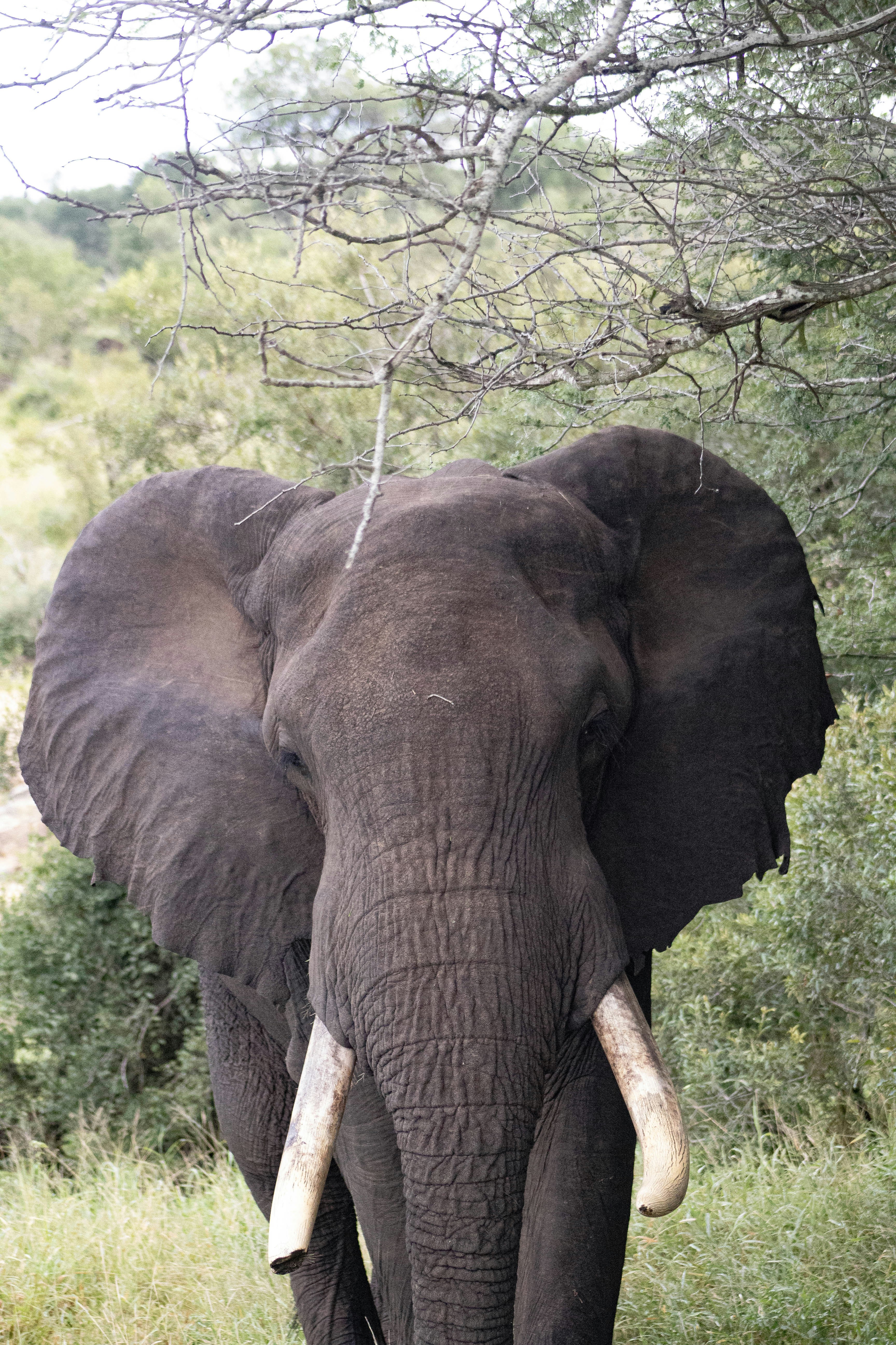 Photo by etherealpics