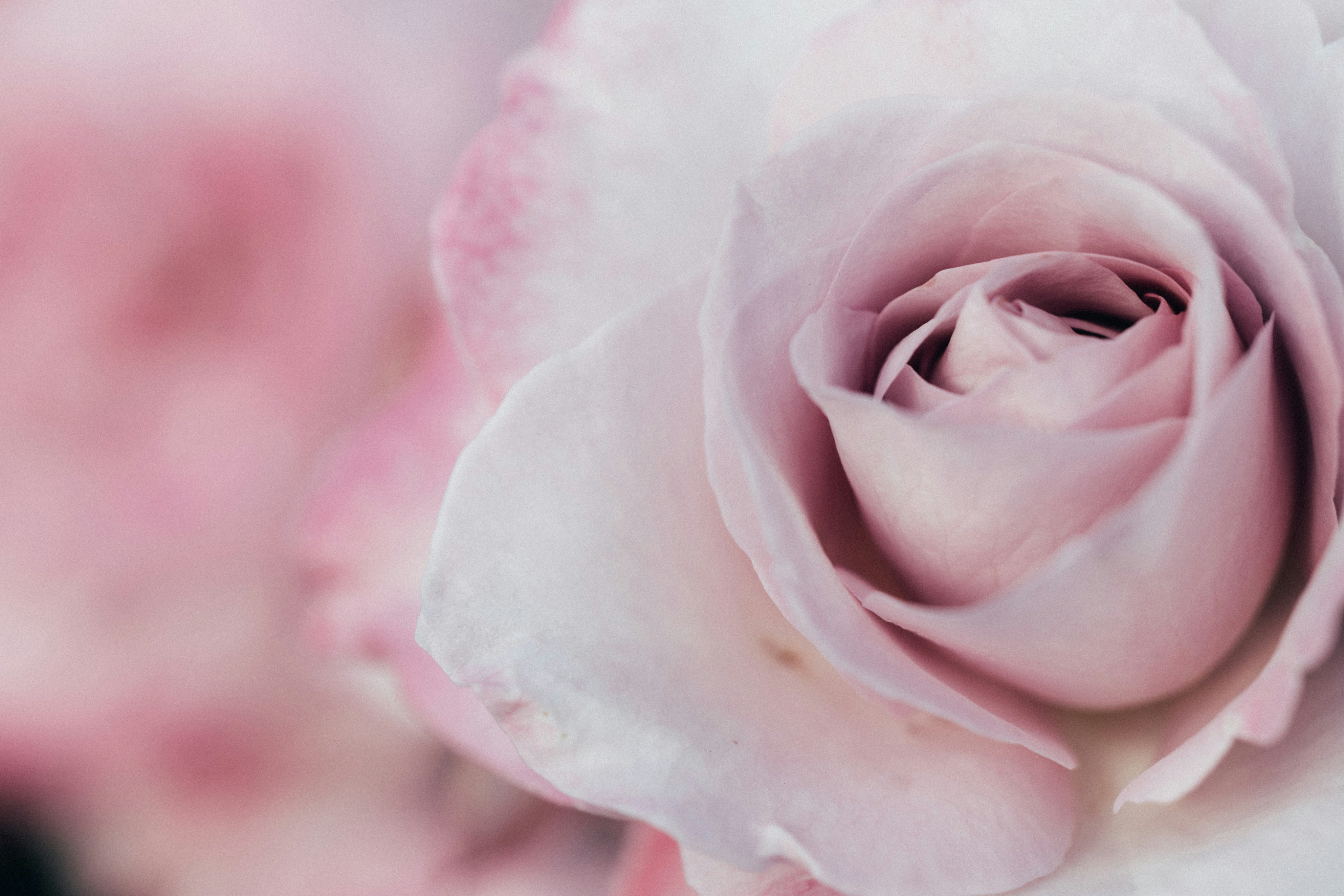 Photo by tsuyoshikozu