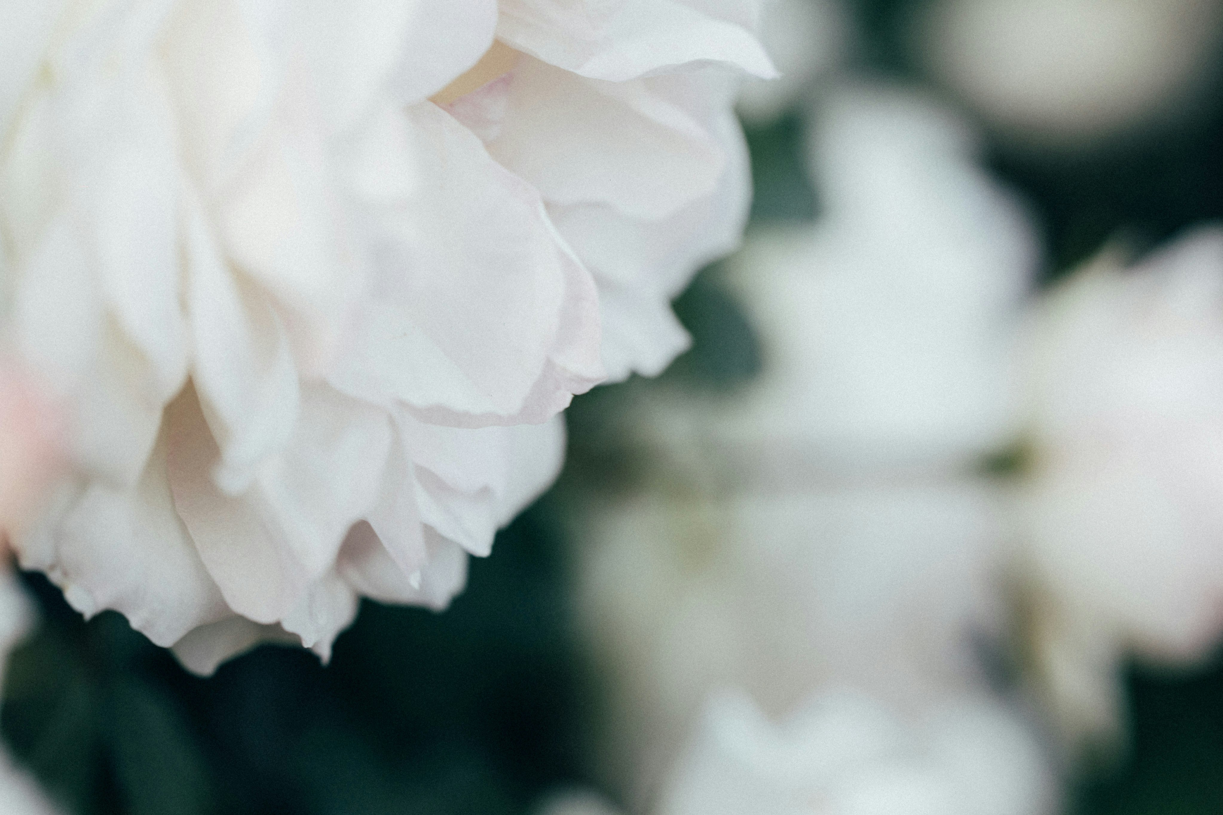 Photo by tsuyoshikozu