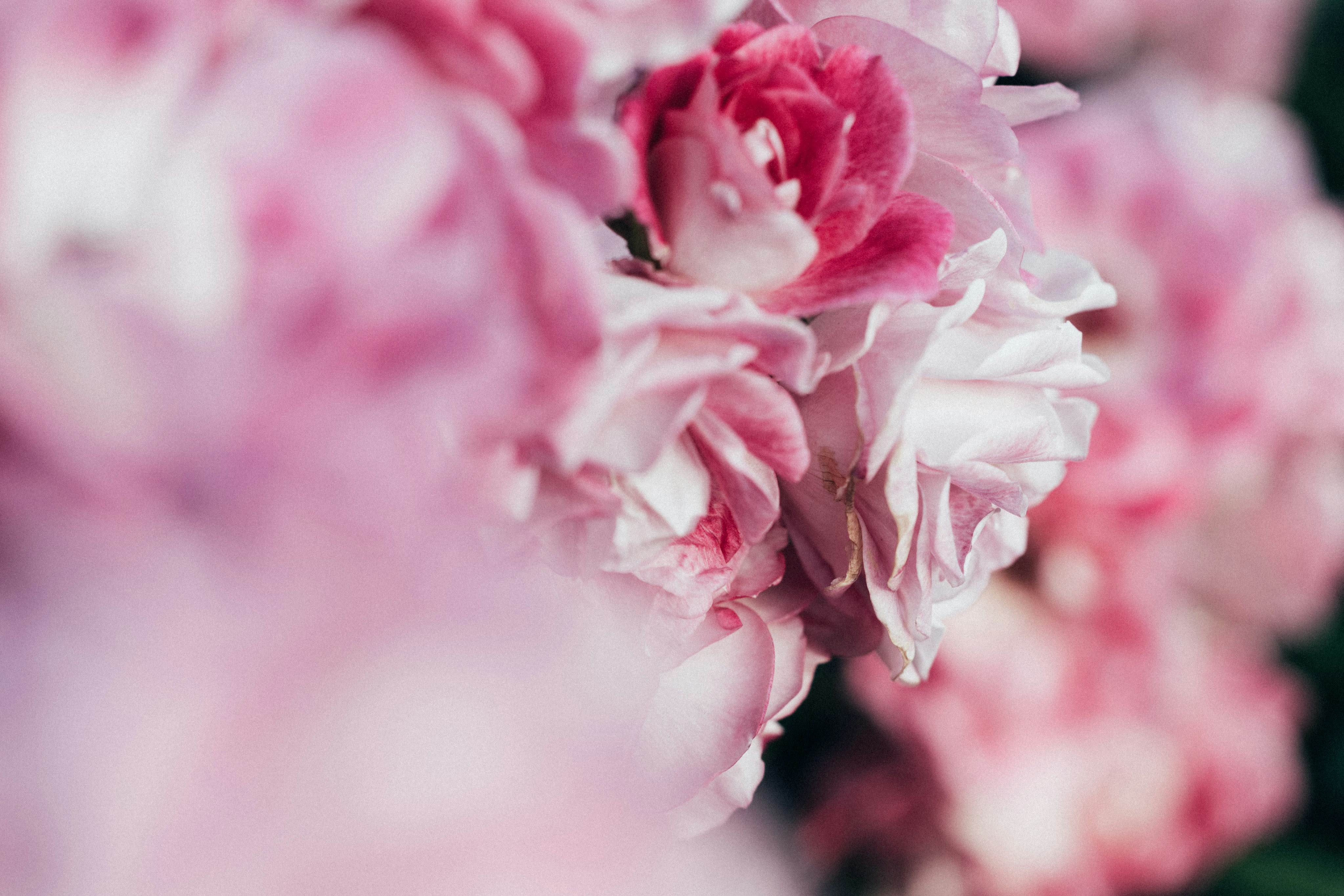 Photo by tsuyoshikozu