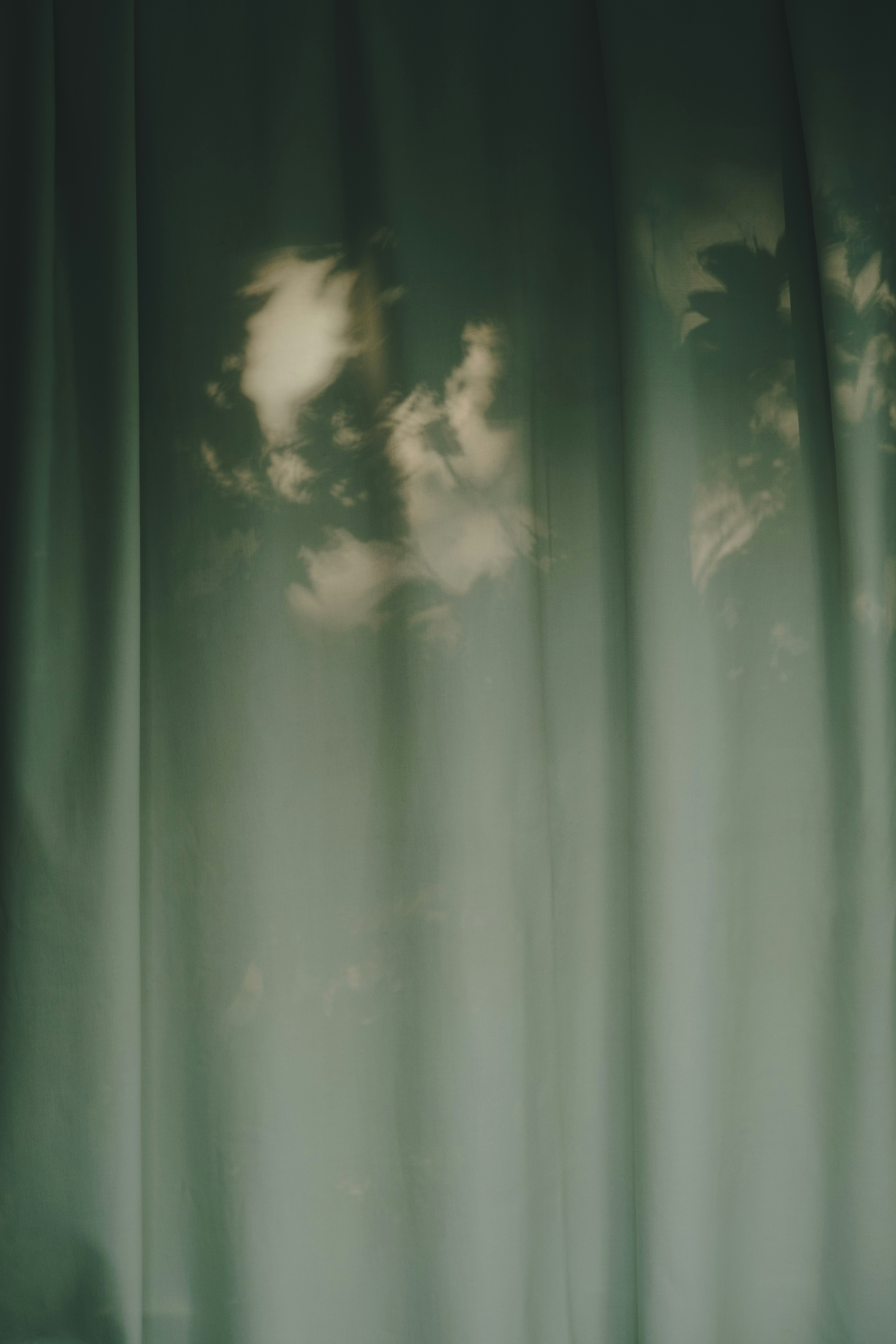 Photo by 360floralflaves