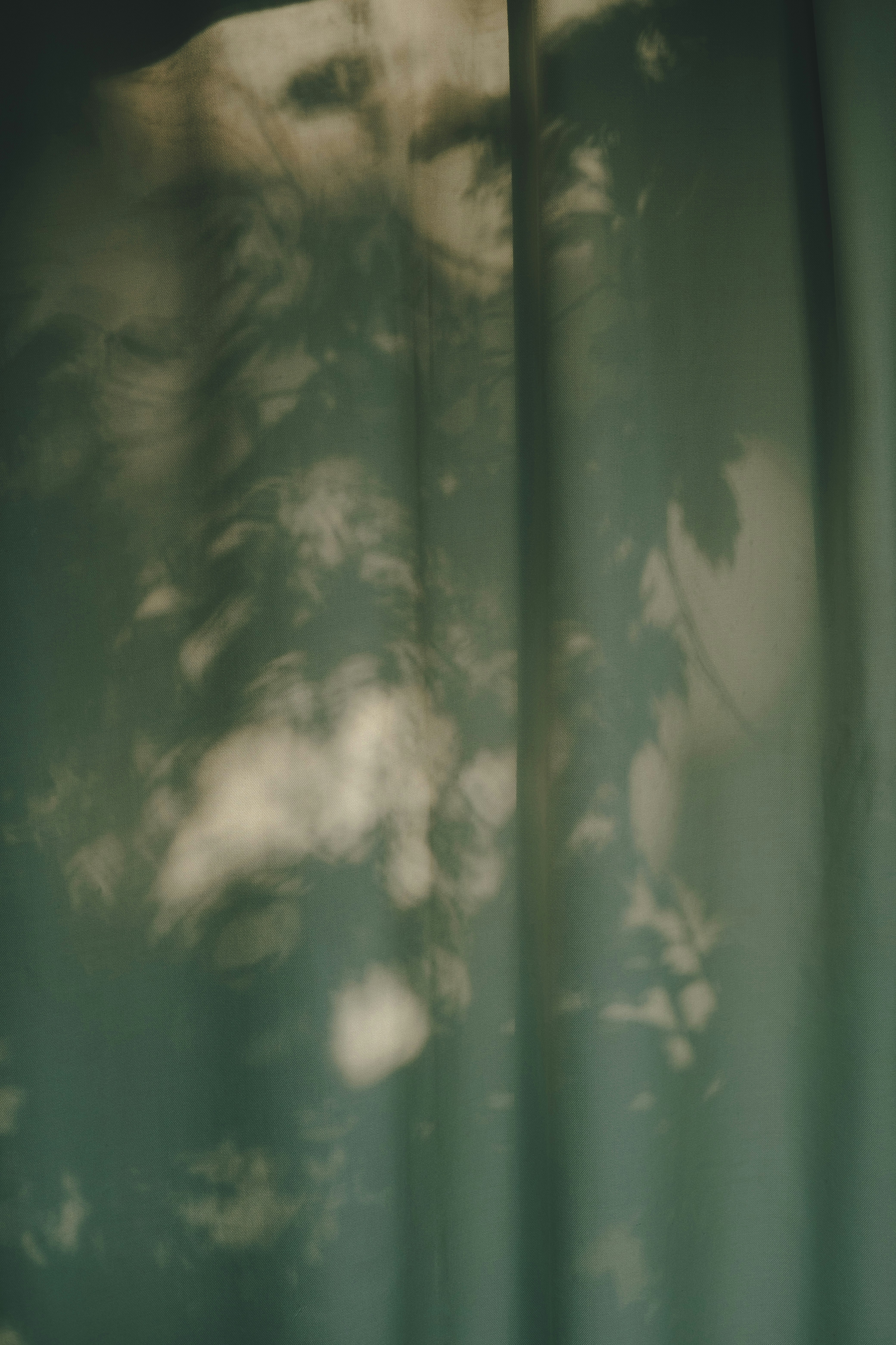 Photo by 360floralflaves