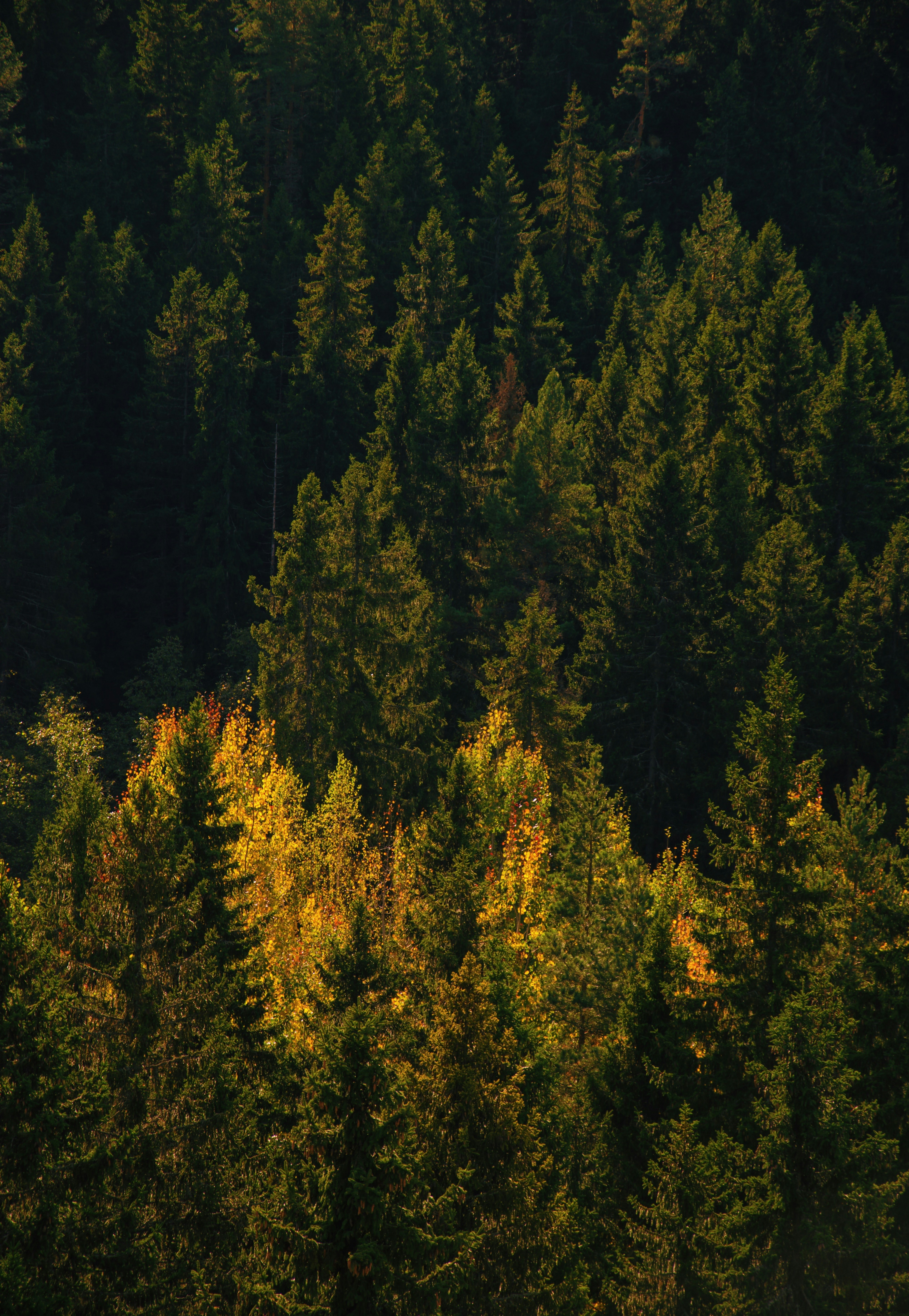 Photo by mrstupachenko