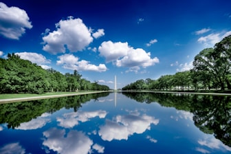A large body of water surrounded by trees