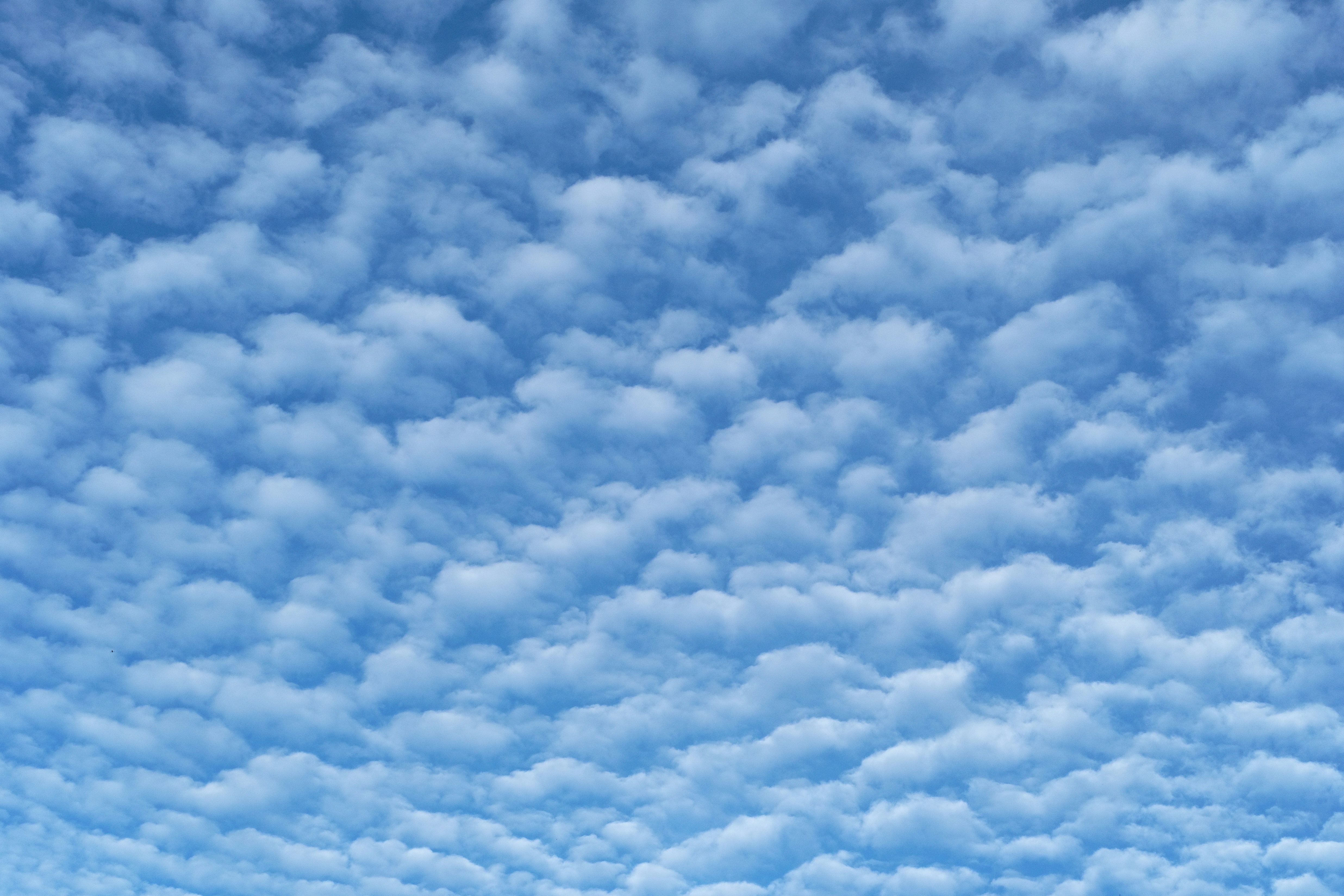 Photo by christian_keybets