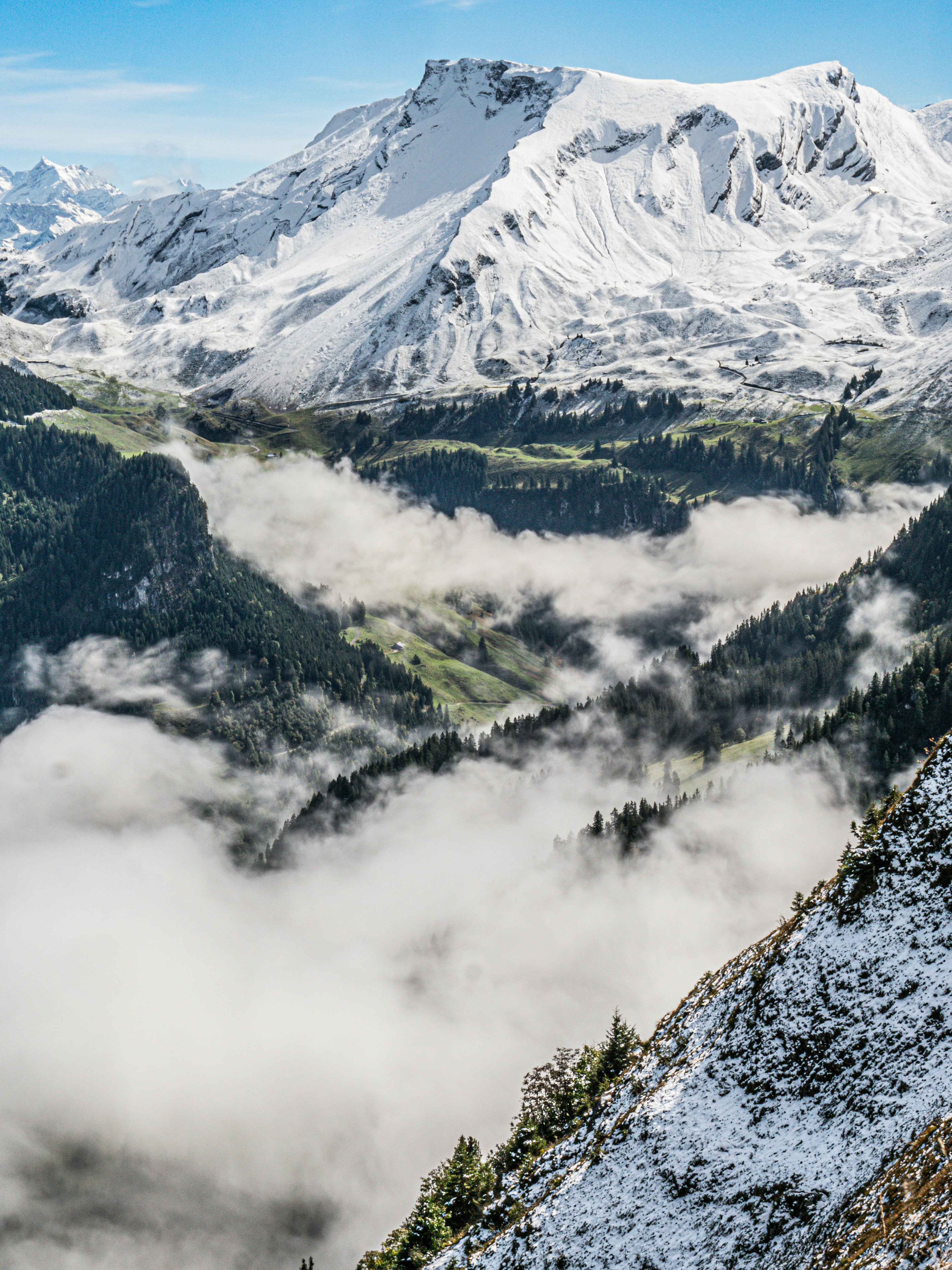 Photo by poli_graphy