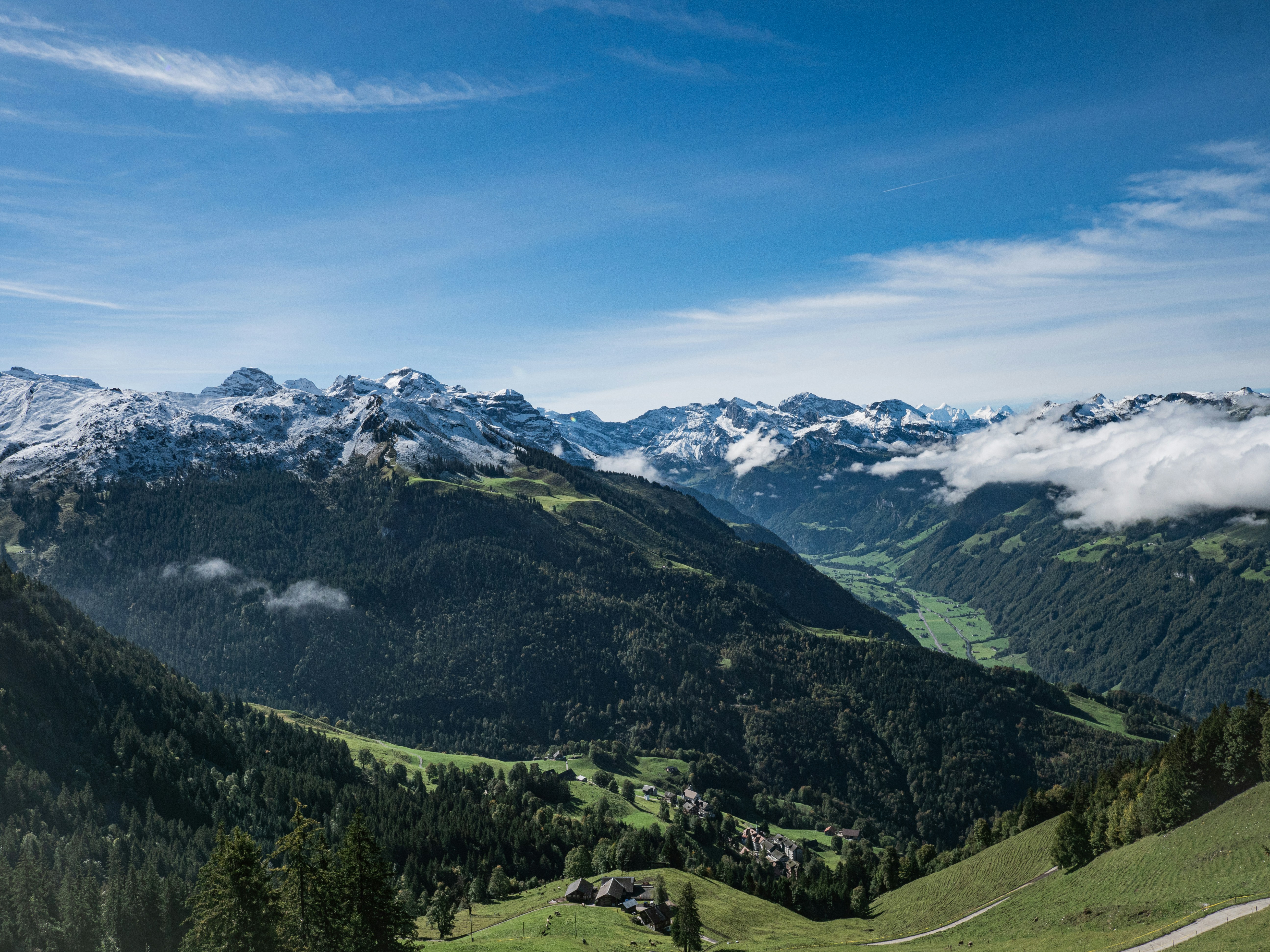 Photo by poli_graphy