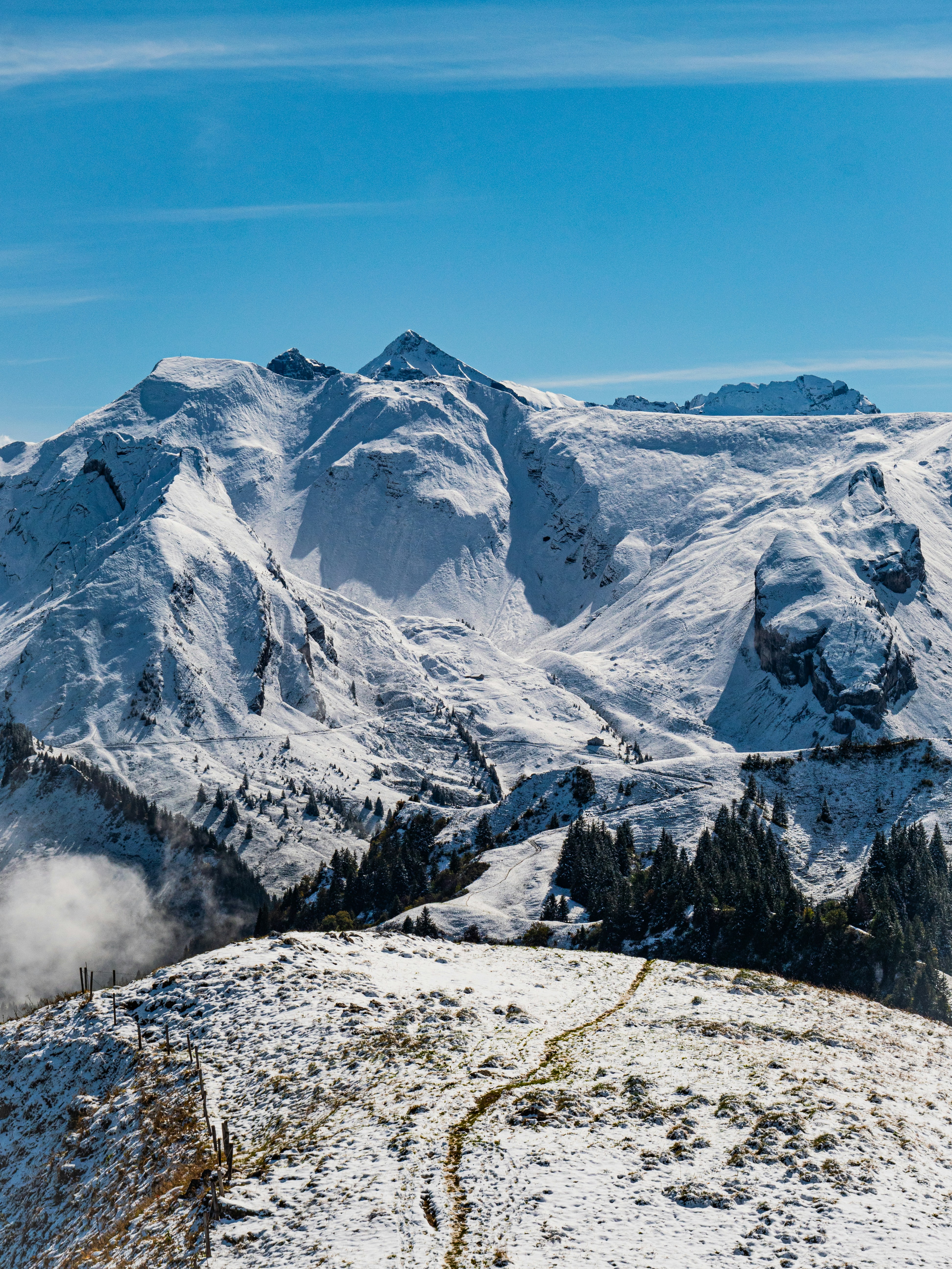 Photo by poli_graphy