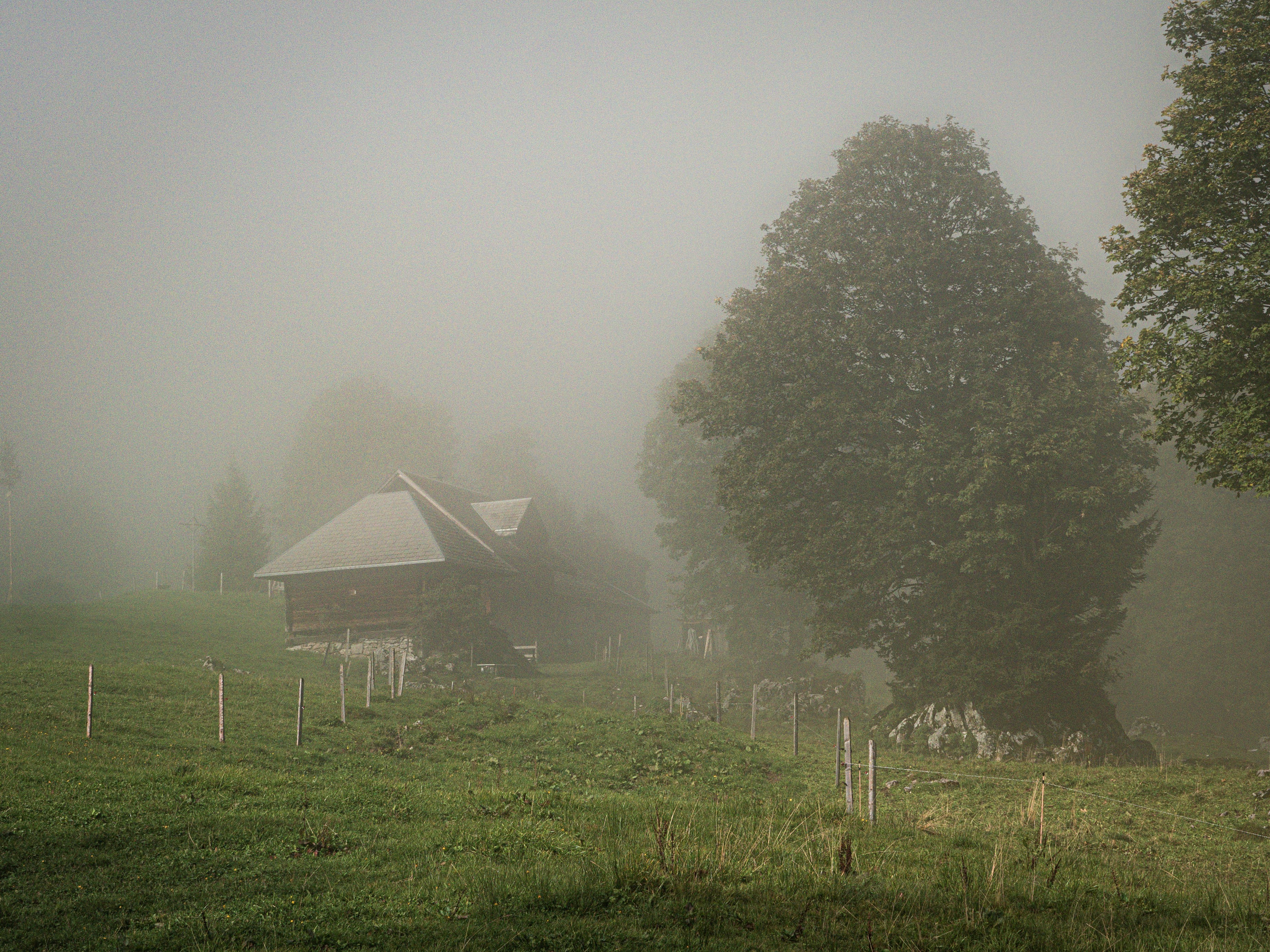 Photo by poli_graphy